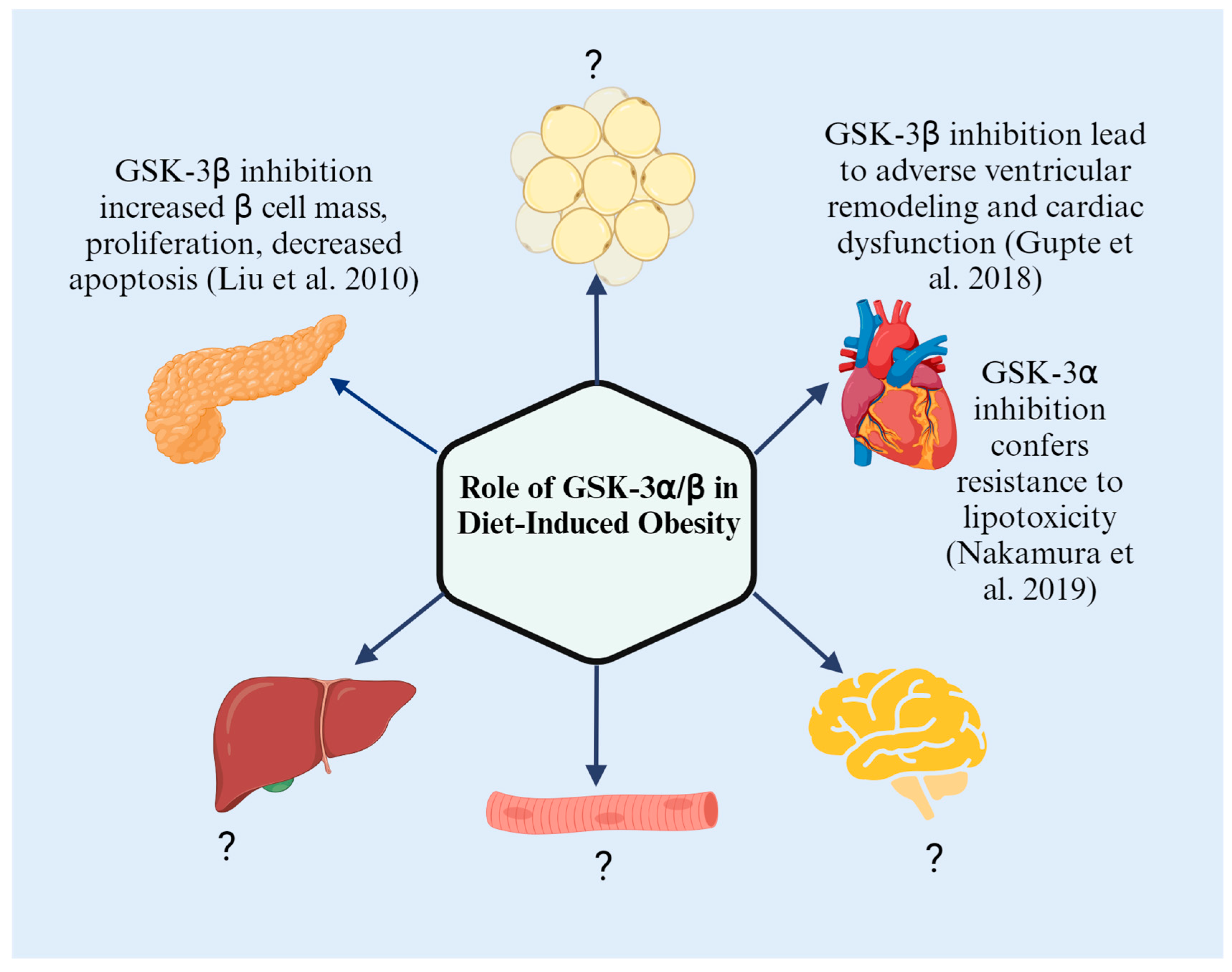Kinasesphosphatases 02 00018 g003