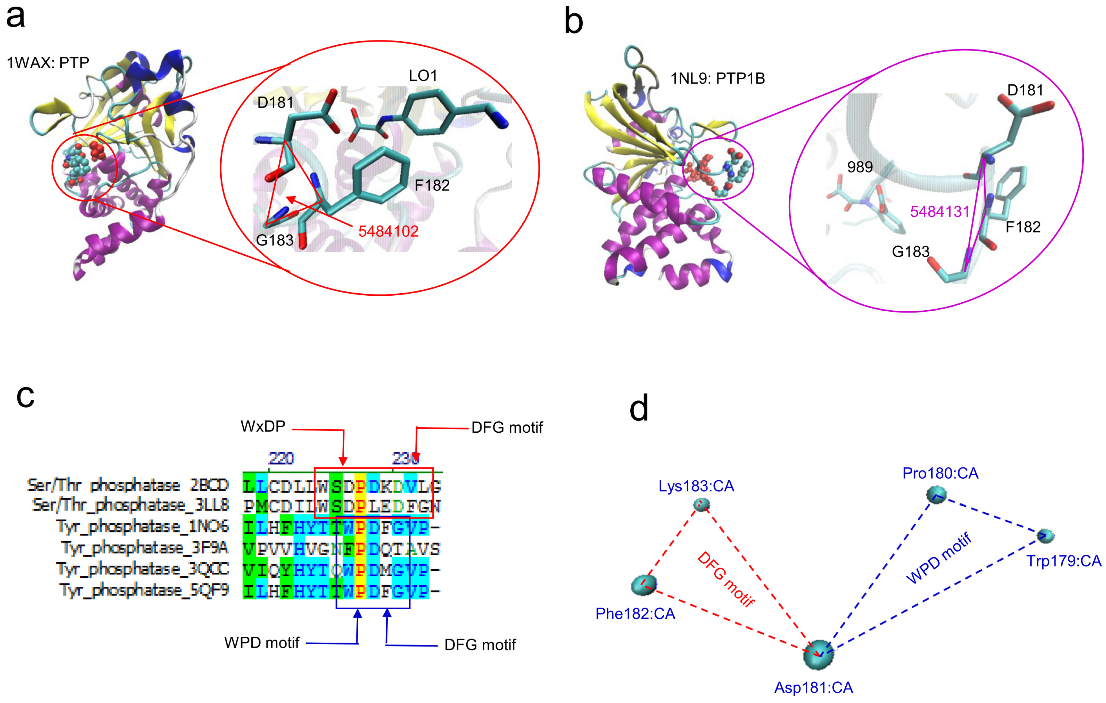 Kinasesphosphatases 02 00021 g009