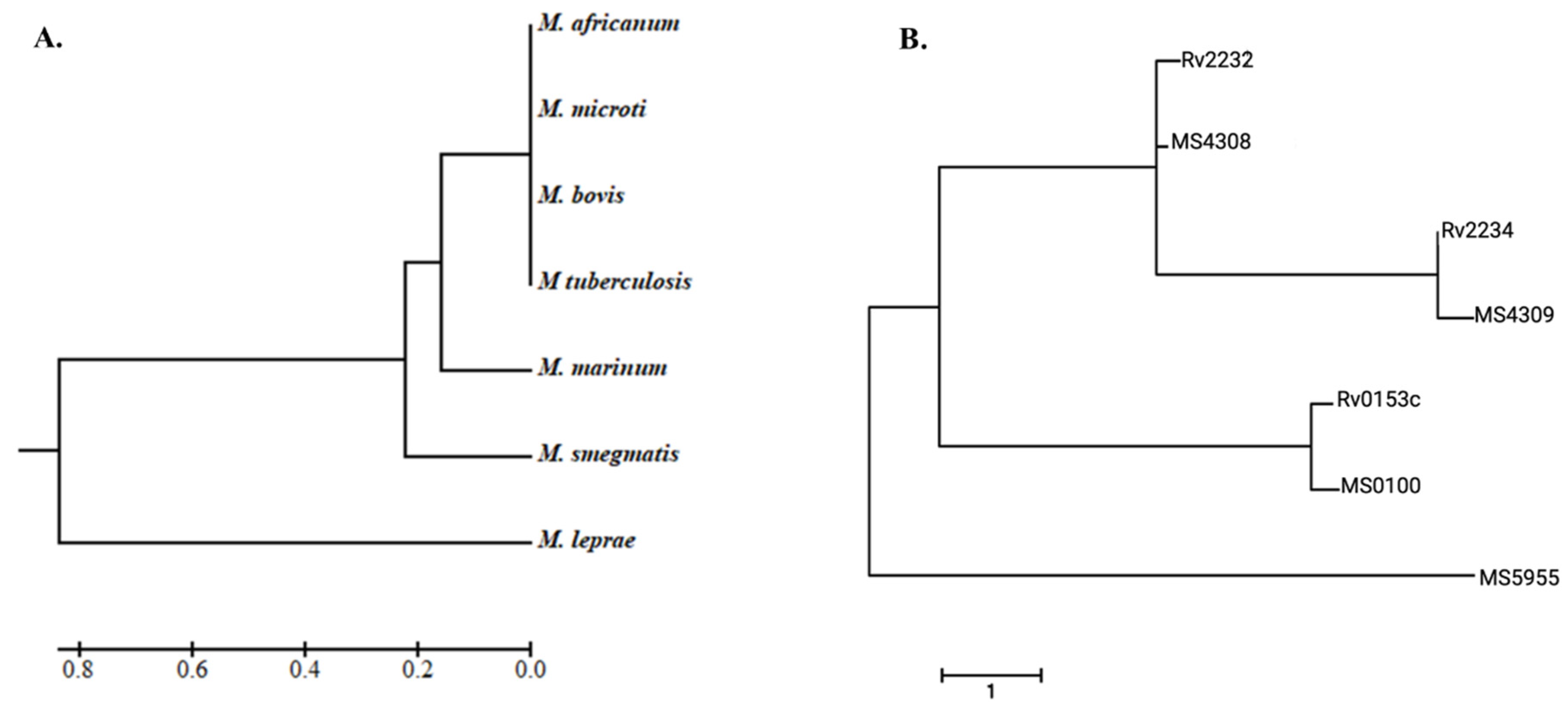 Kinasesphosphatases 02 00022 g001 Kinasesphosphatases 02 00022 g001