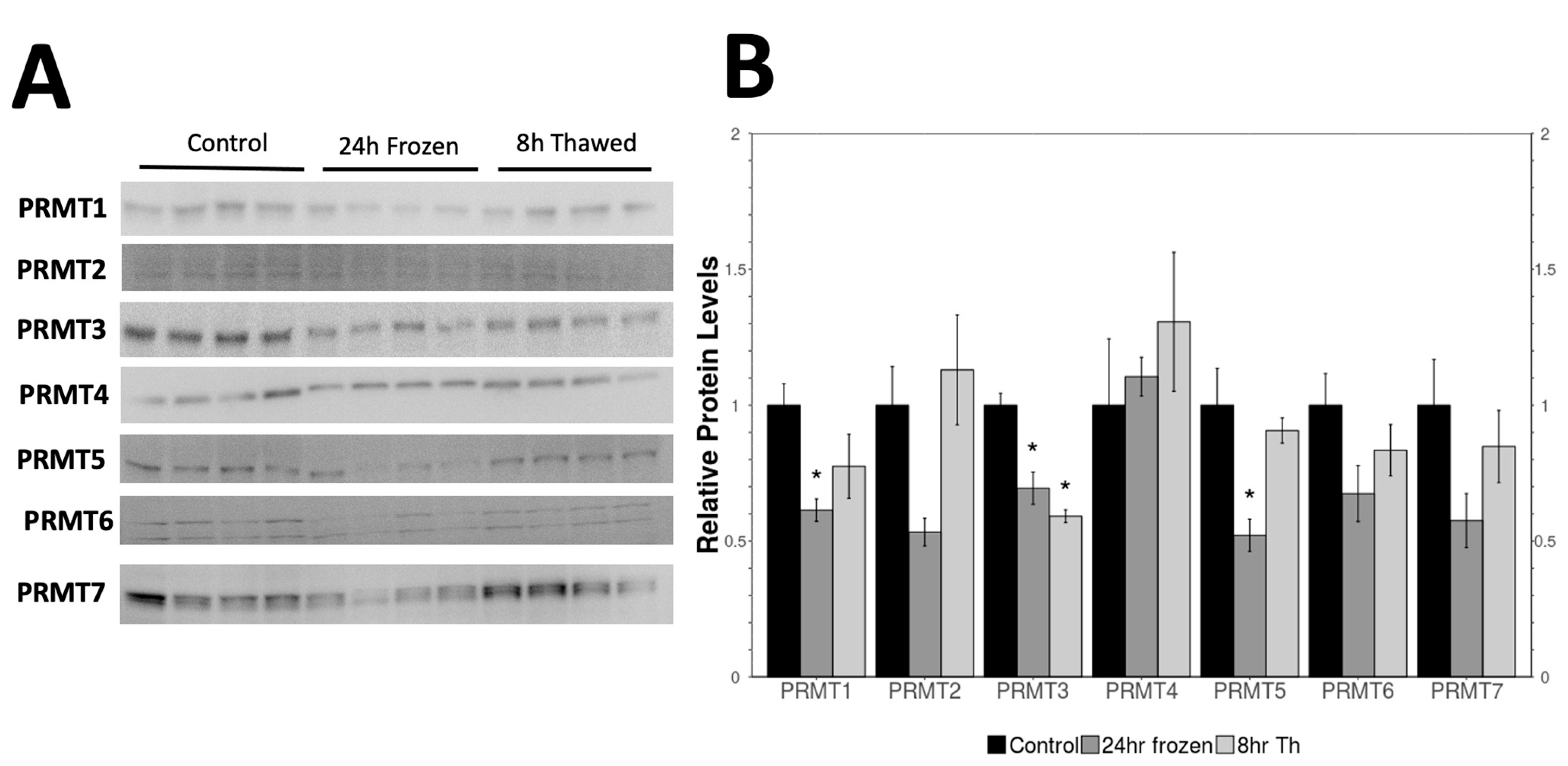Kinasesphosphatases 03 00001 g001