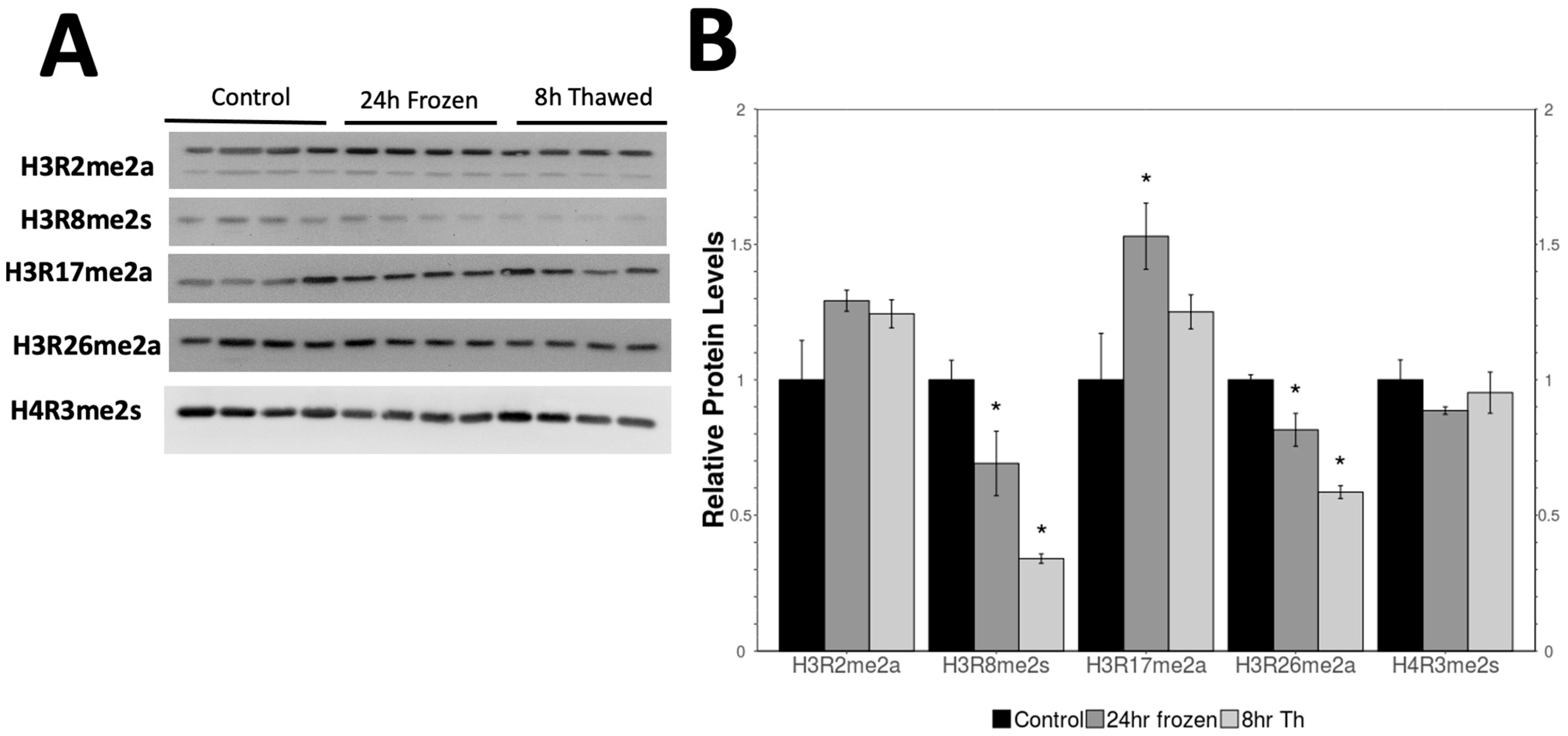 Kinasesphosphatases 03 00001 g002