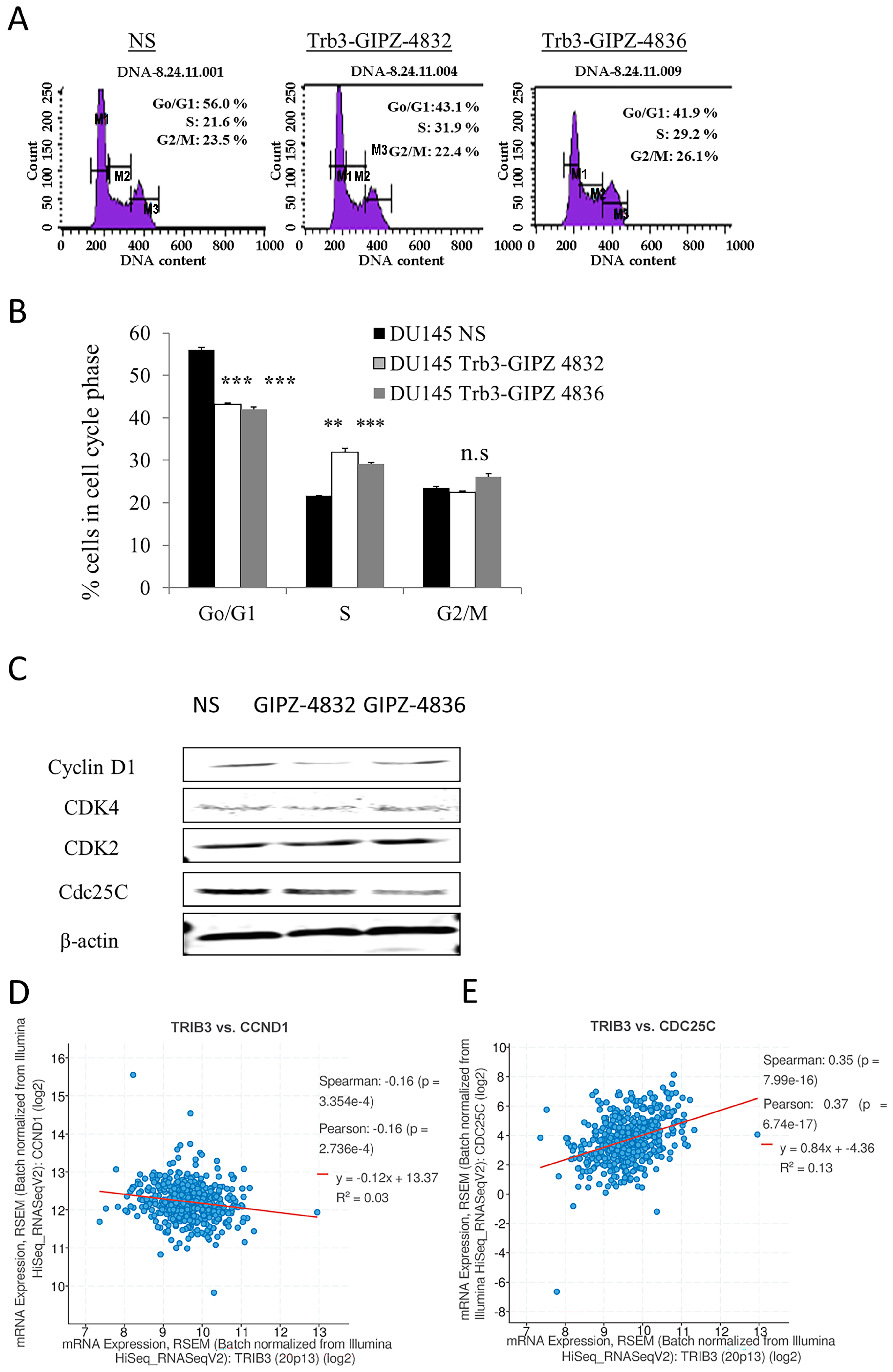 Kinasesphosphatases 03 00002 g005