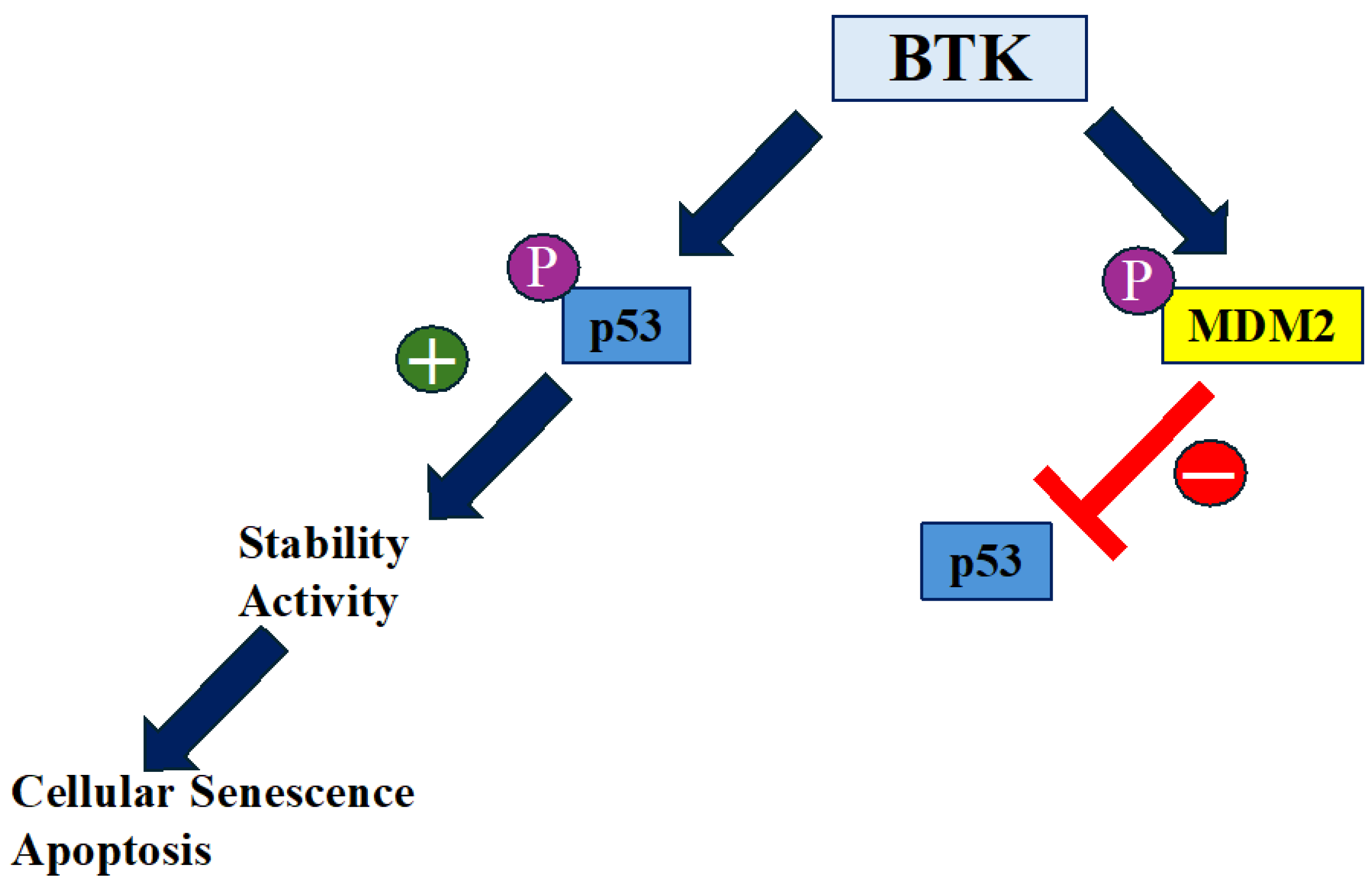 Kinasesphosphatases 03 00010 g001