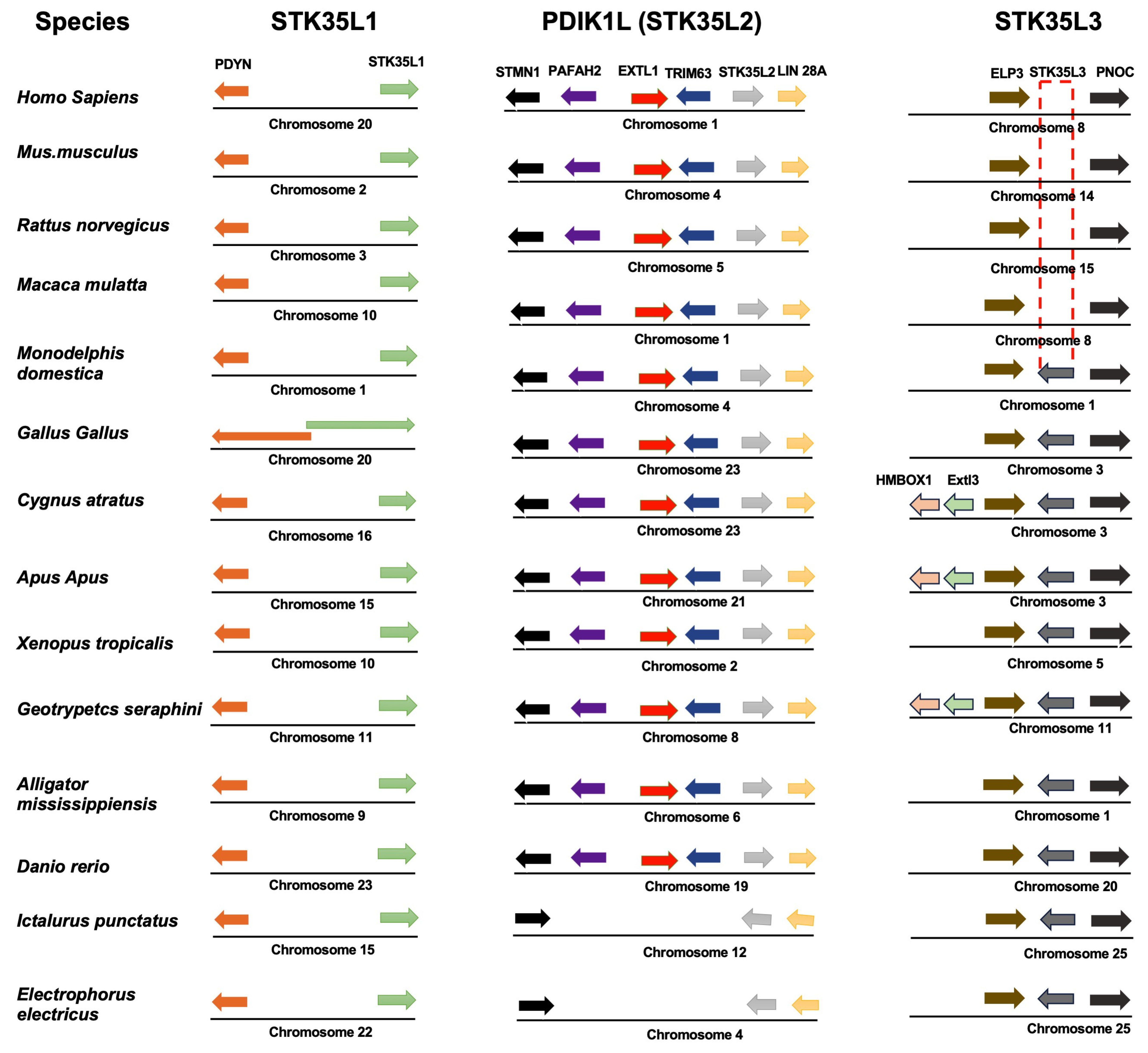 Kinasesphosphatases 03 00012 g002 Kinasesphosphatases 03 00012 g002