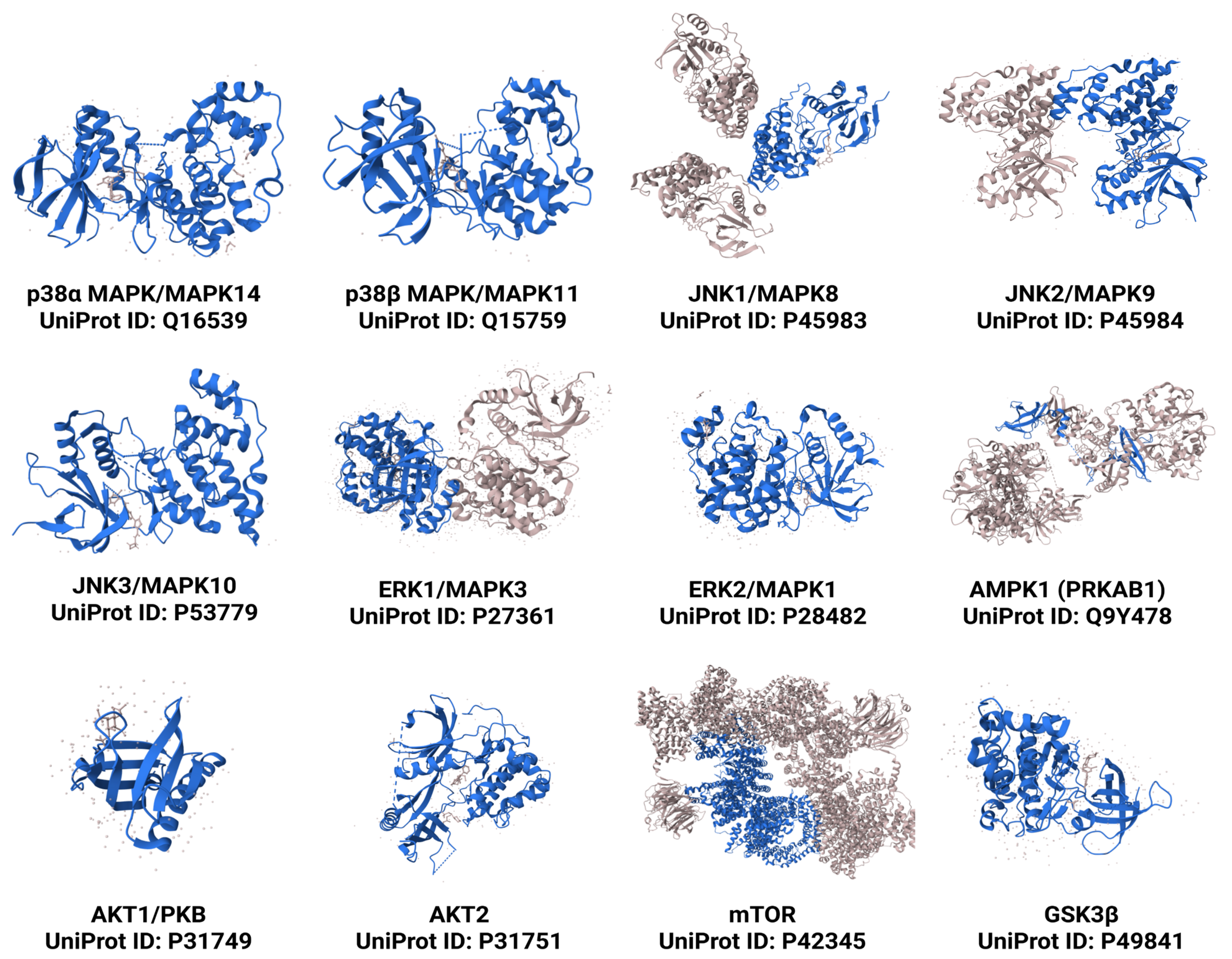 Kinasesphosphatases 03 00016 g001