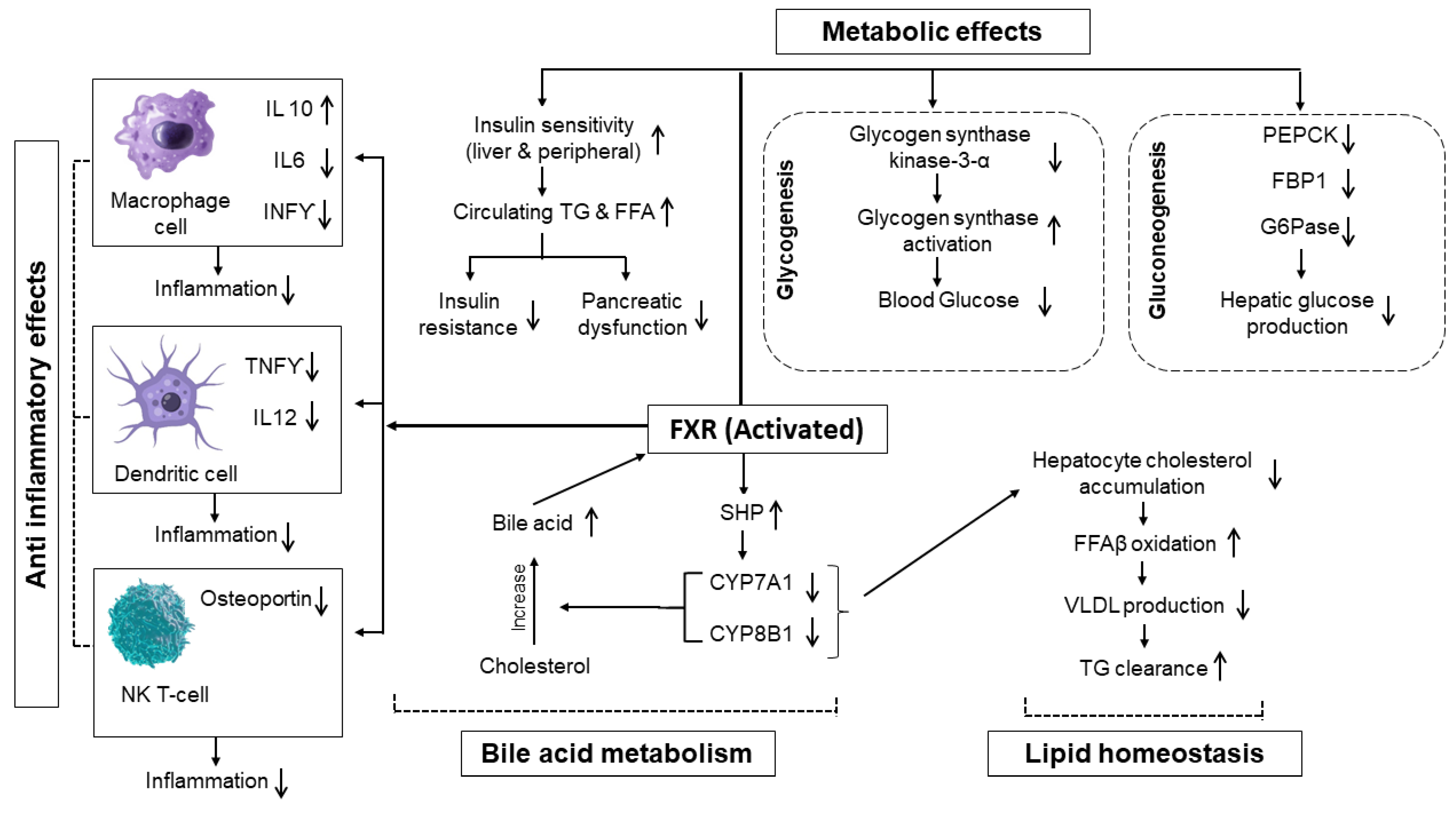 Kinasesphosphatases 03 00016 g002