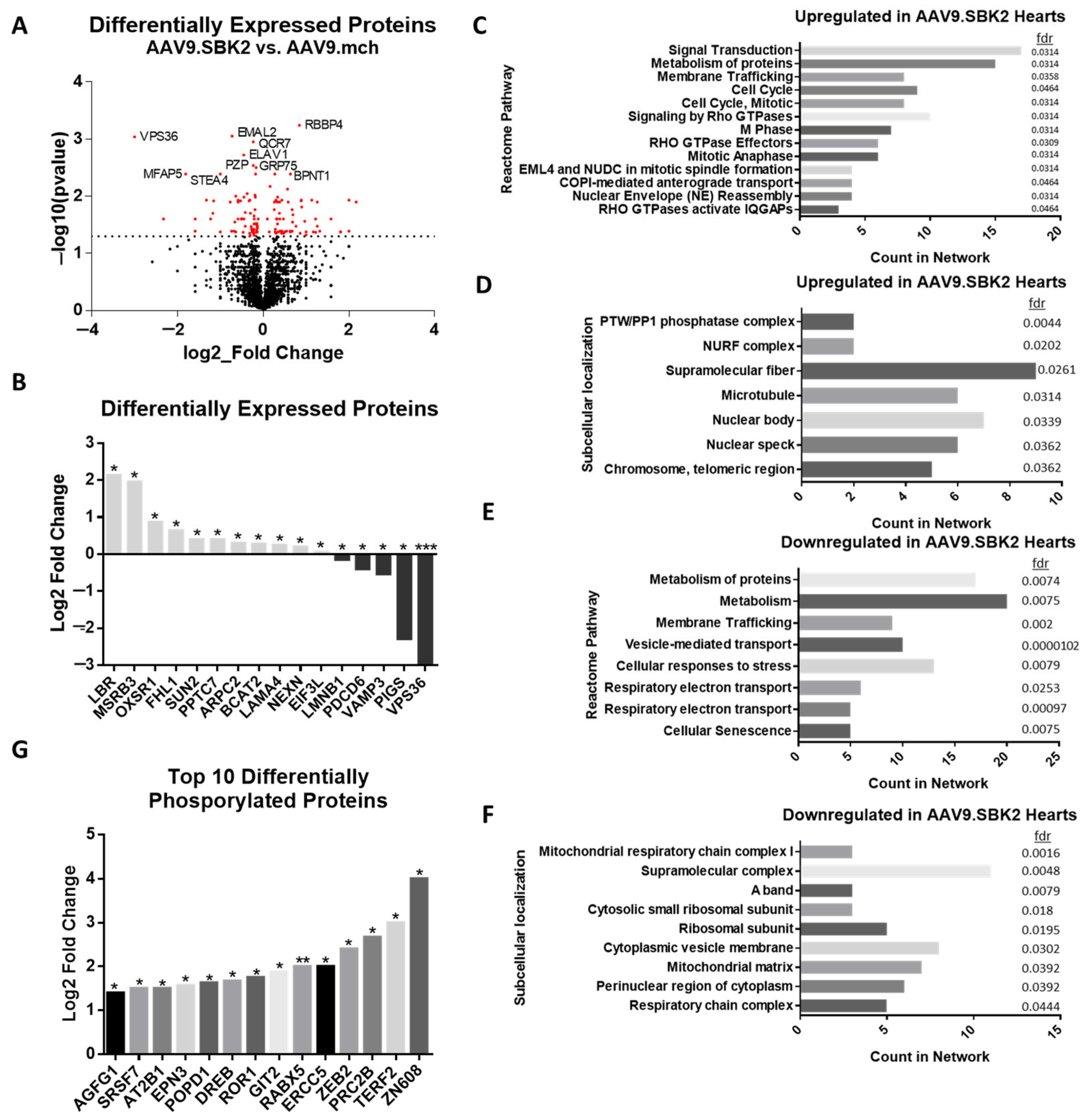 Kinasesphosphatases 03 00020 g002