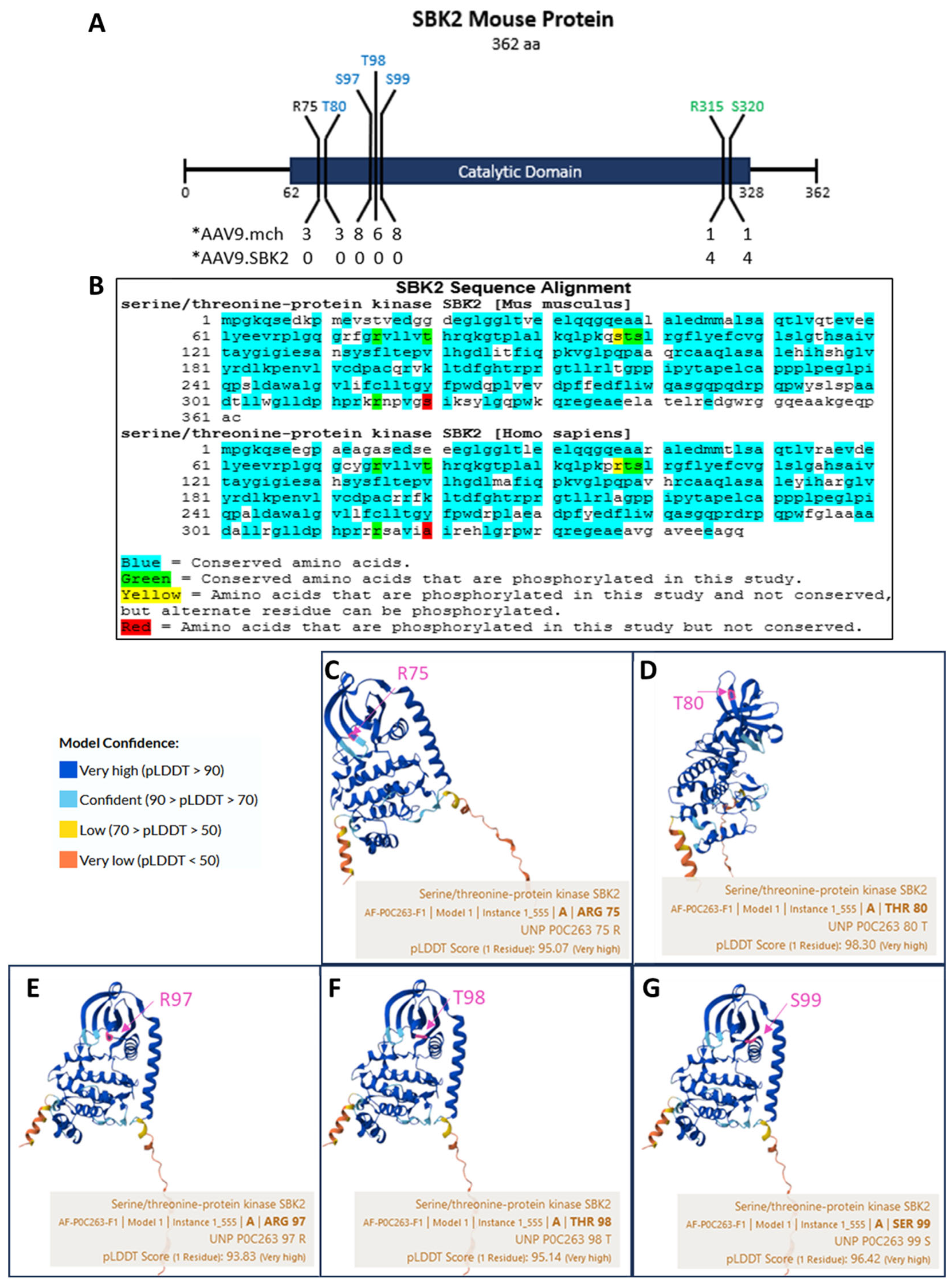 Kinasesphosphatases 03 00020 g003