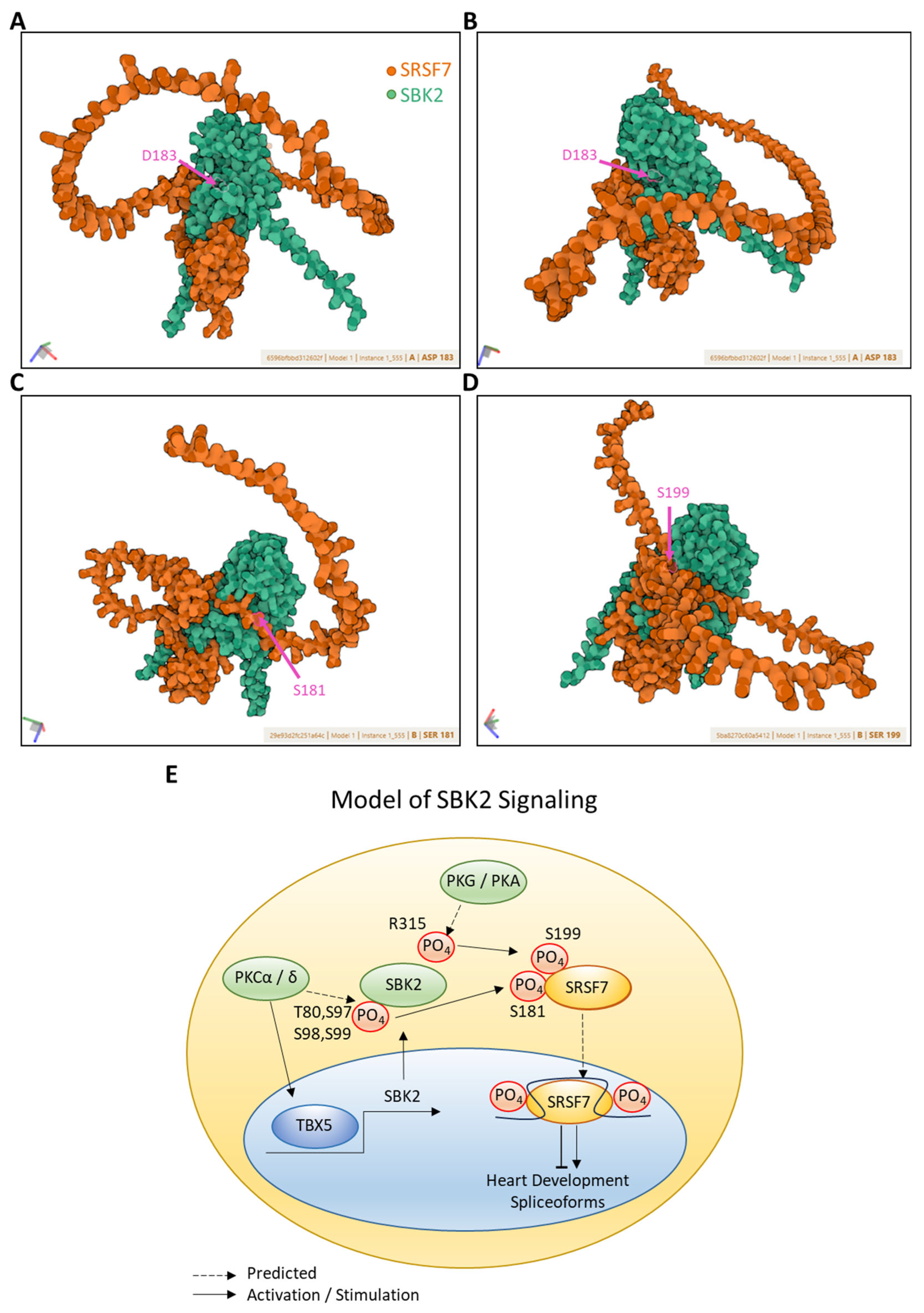 Kinasesphosphatases 03 00020 g005