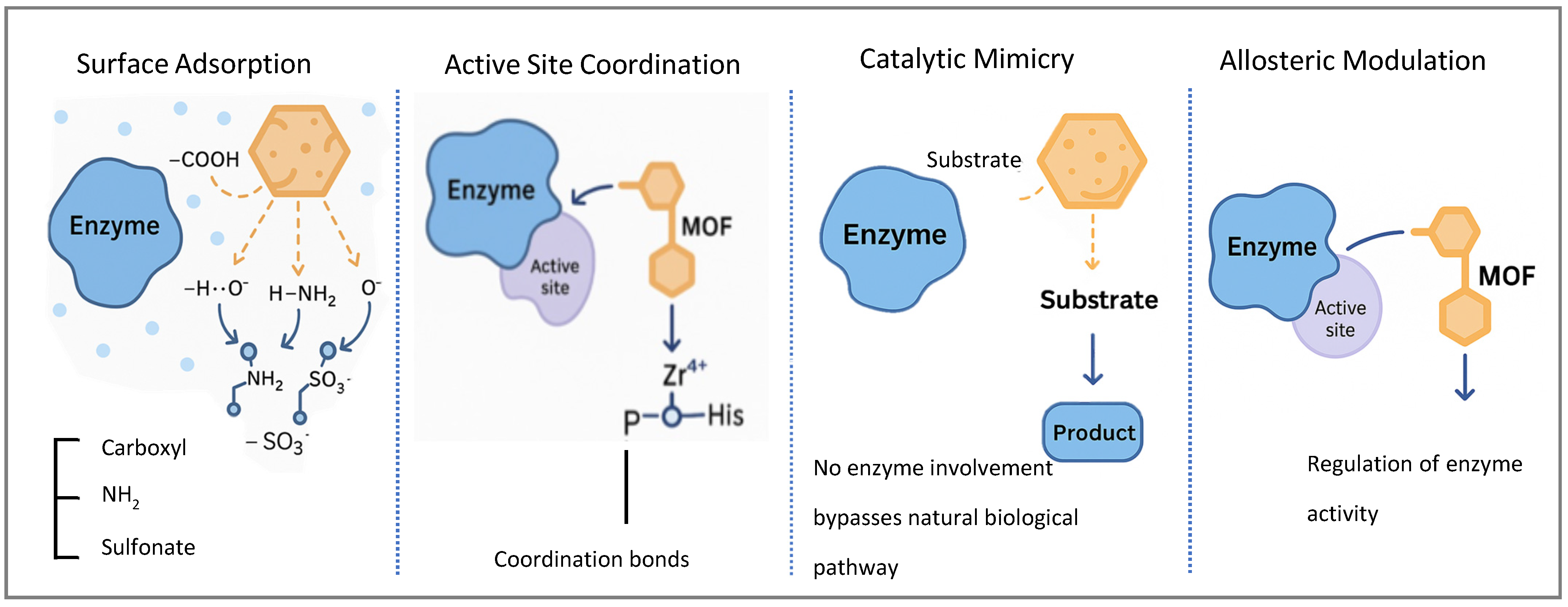 Kinasesphosphatases 03 00021 g003