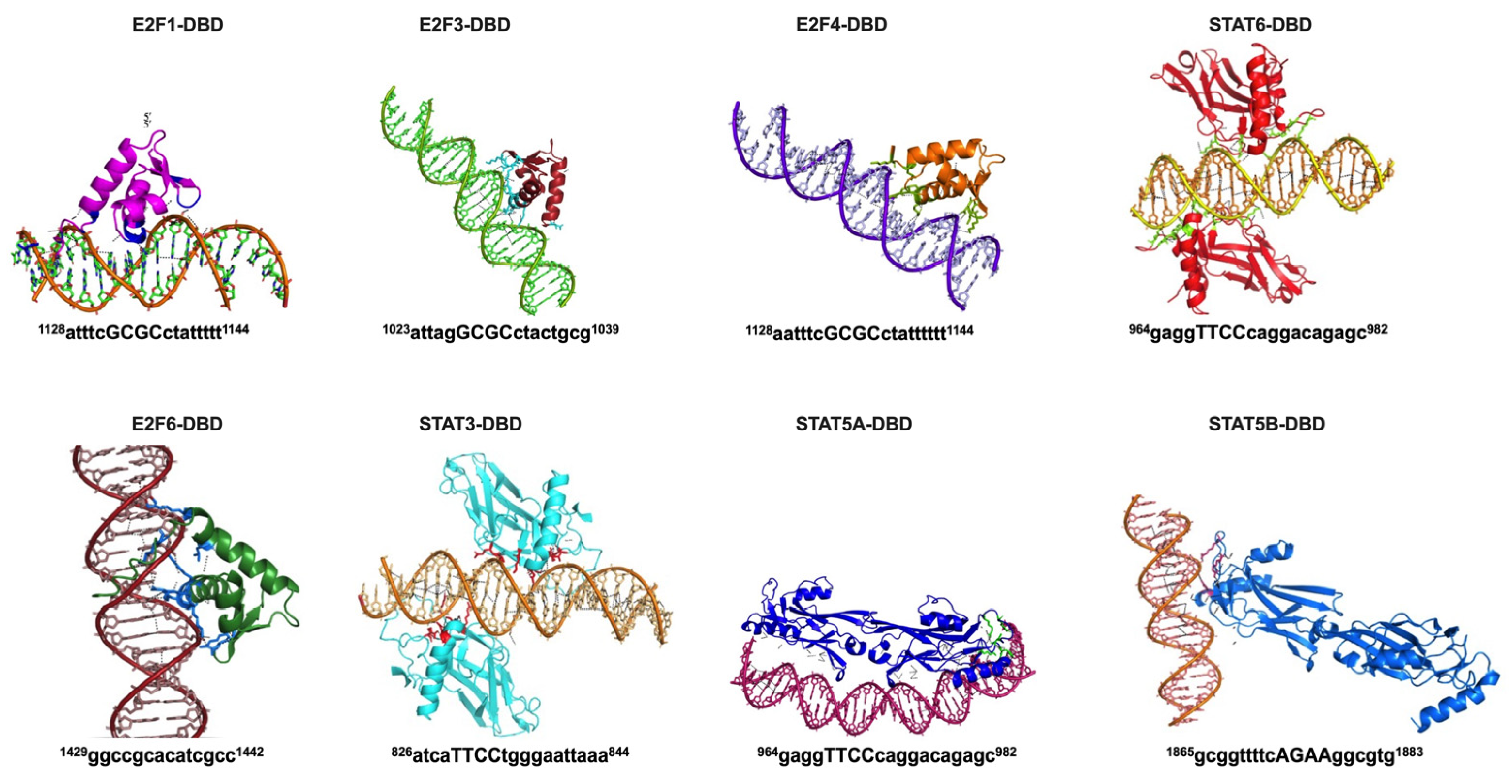 Kinasesphosphatases 03 00026 g002 Kinasesphosphatases 03 00026 g002