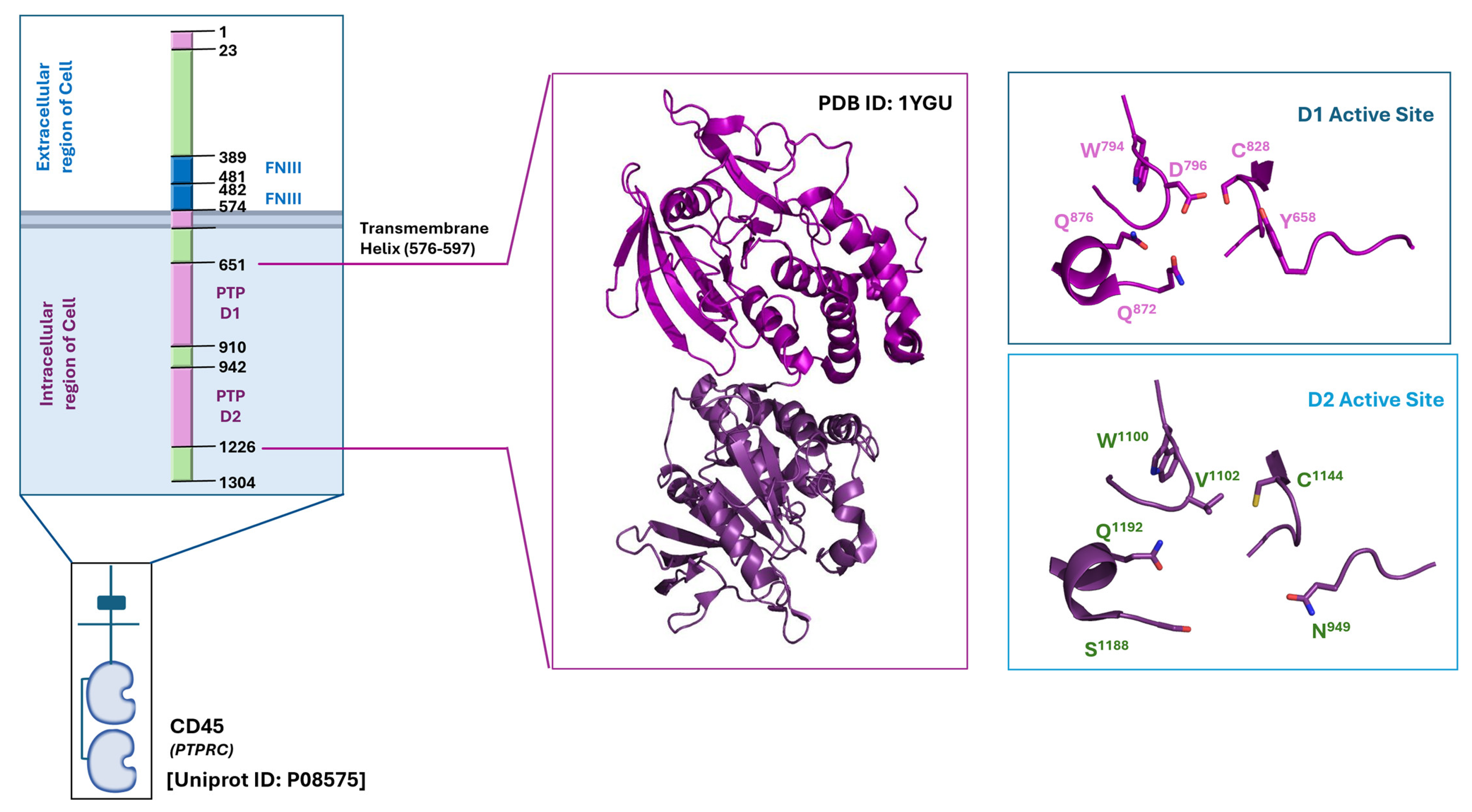 Kinasesphosphatases 04 00007 g005 Kinasesphosphatases 04 00007 g005