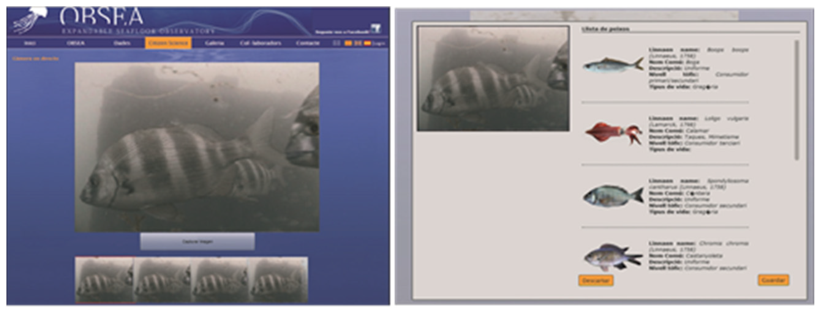 Knowledge 02 00035 g005