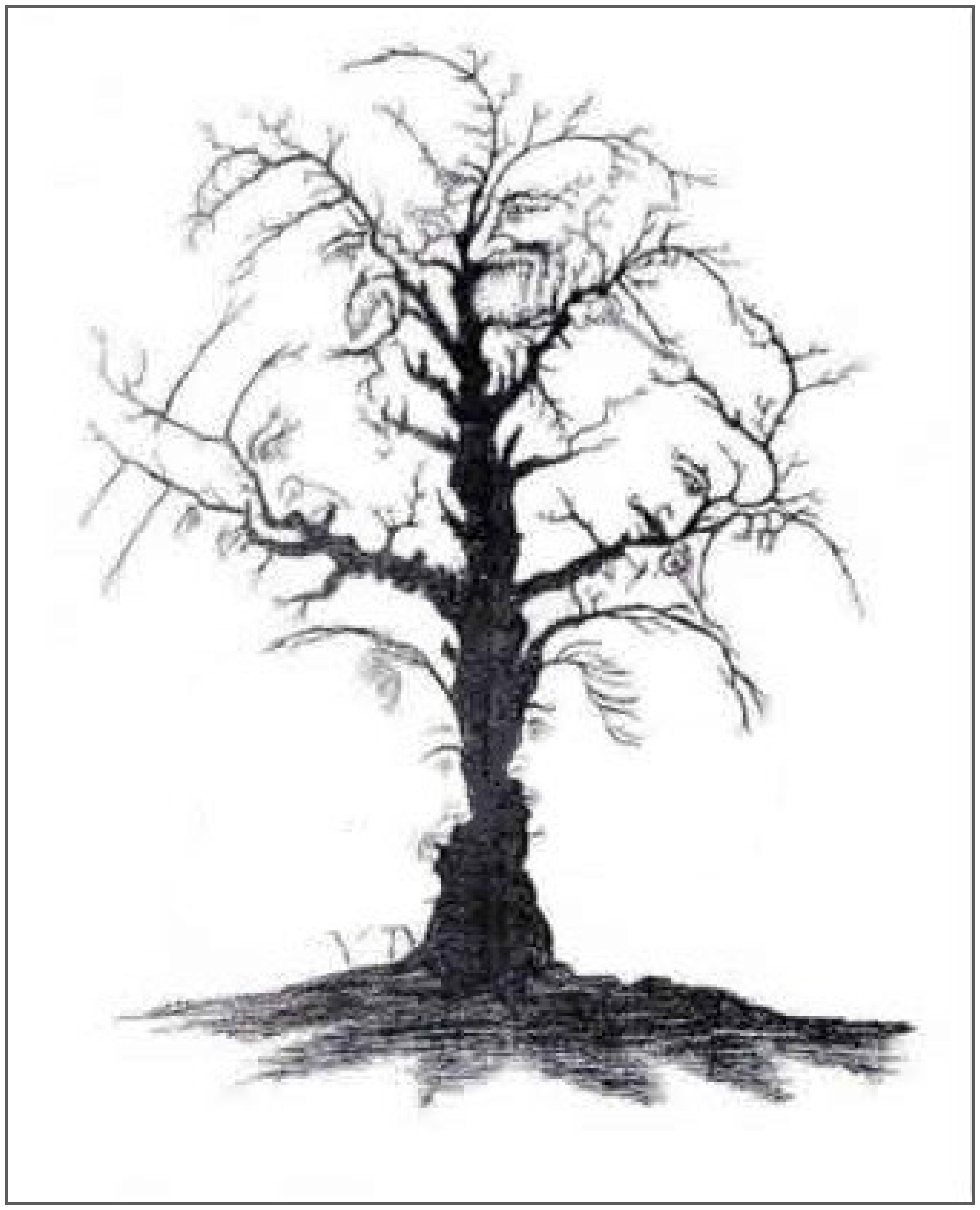 Knowledge 02 00038 g010