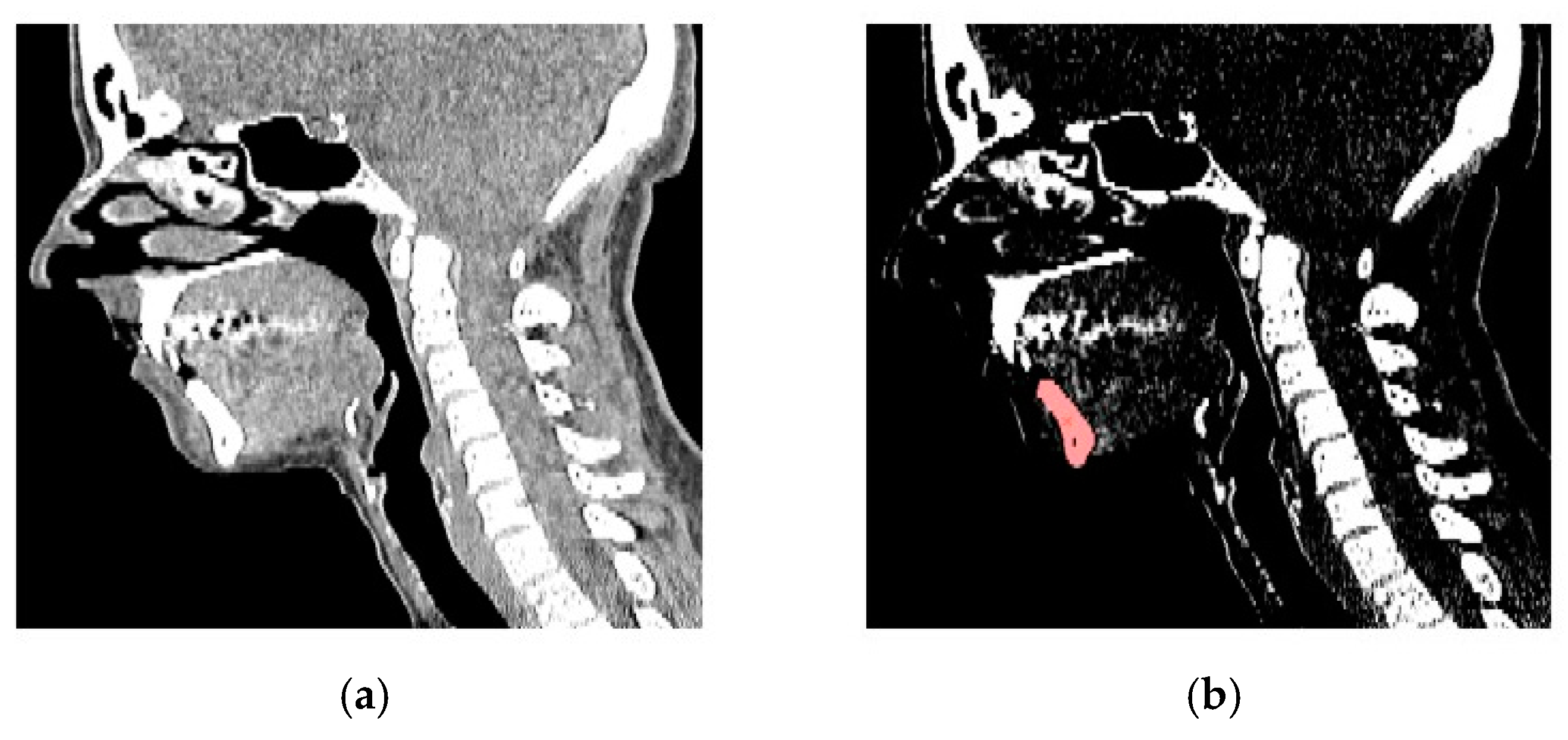 Knowledge 04 00014 g001