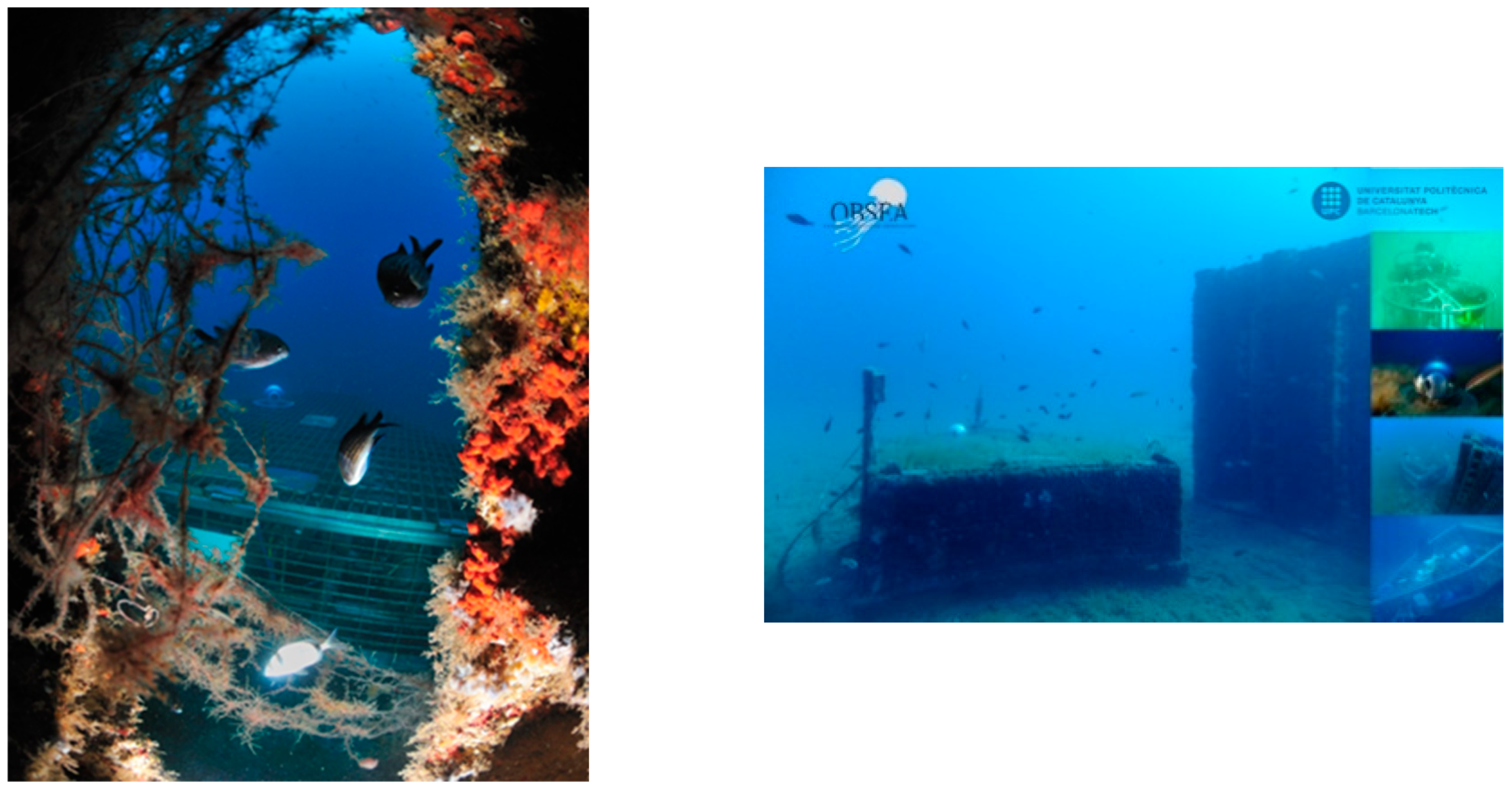 Knowledge 04 00026 g002