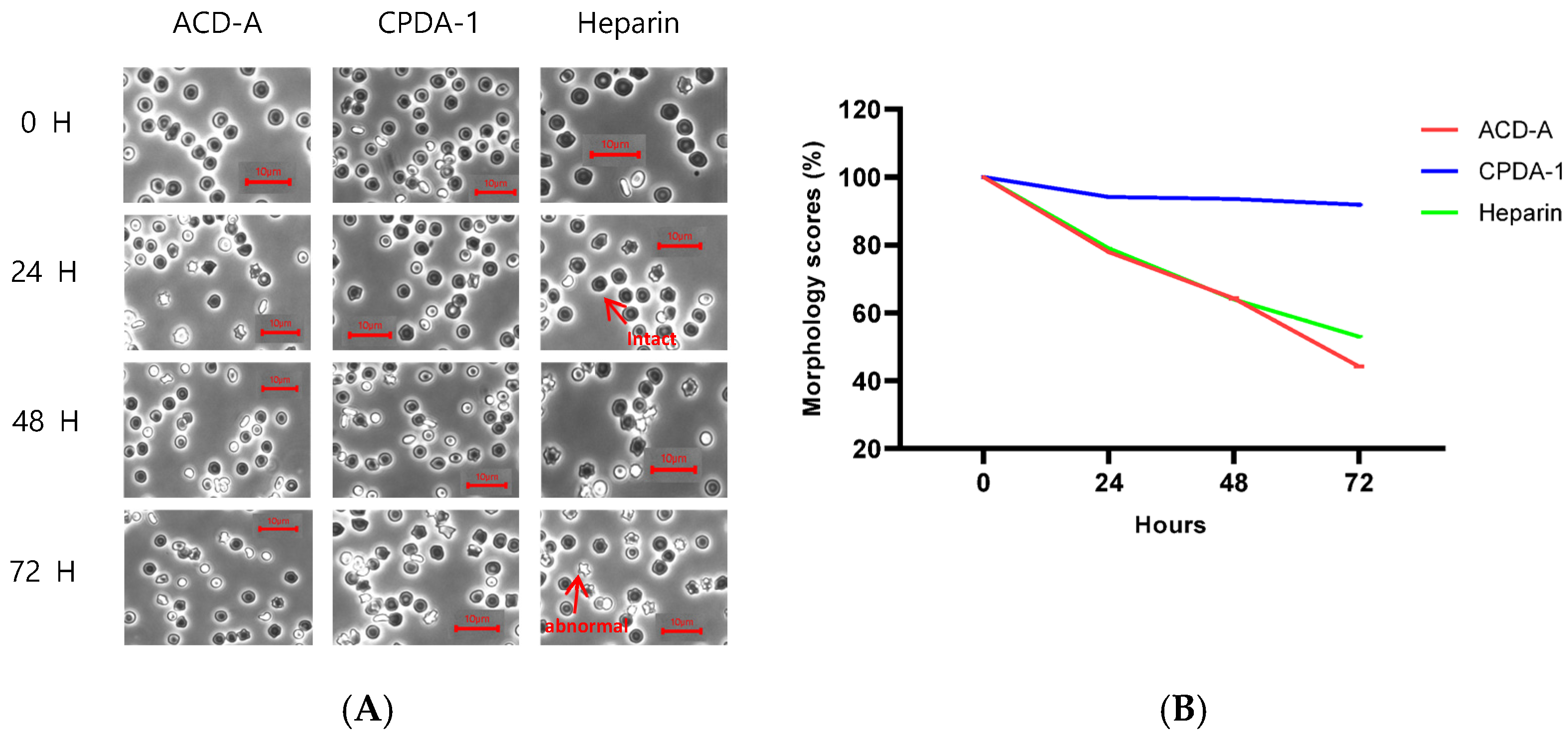 Labmed 02 00007 g001