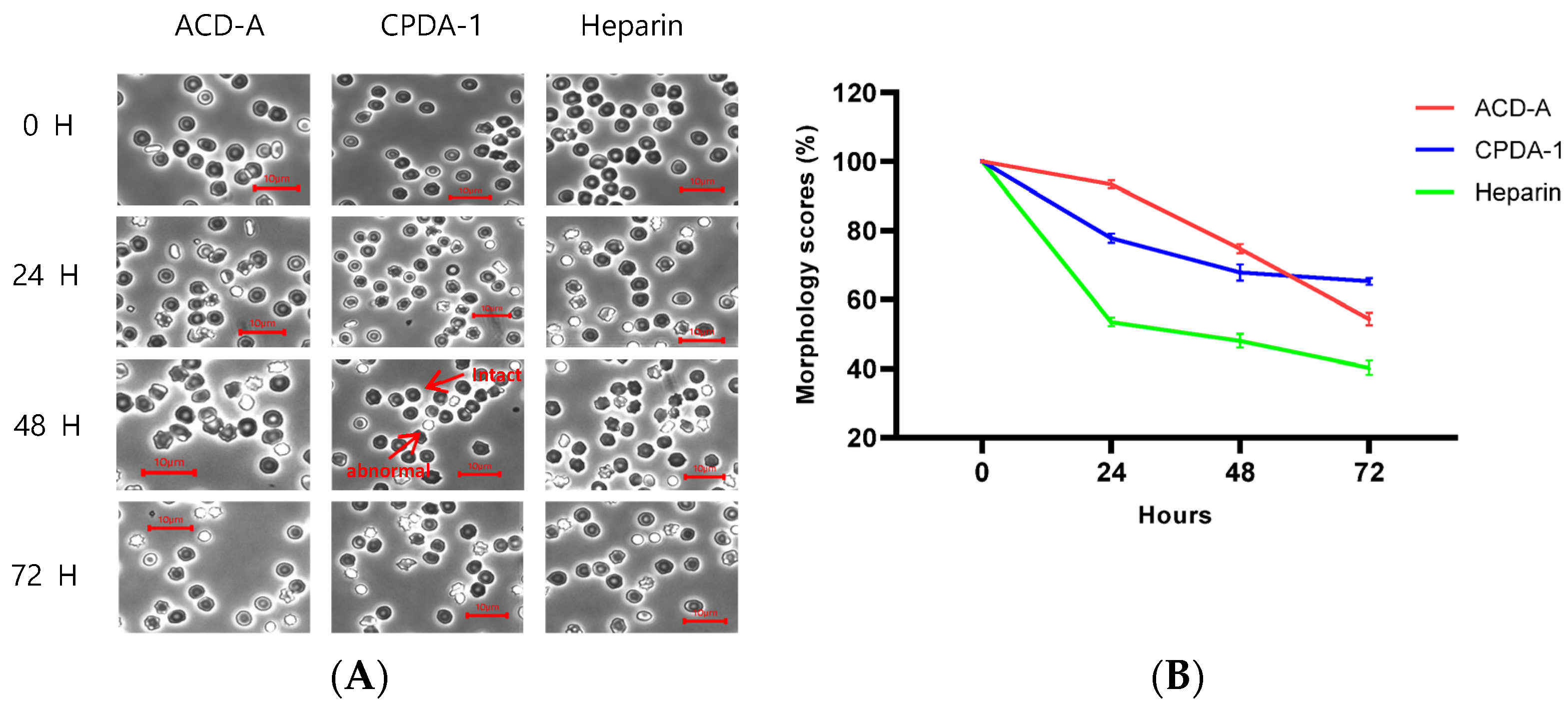 Labmed 02 00007 g003