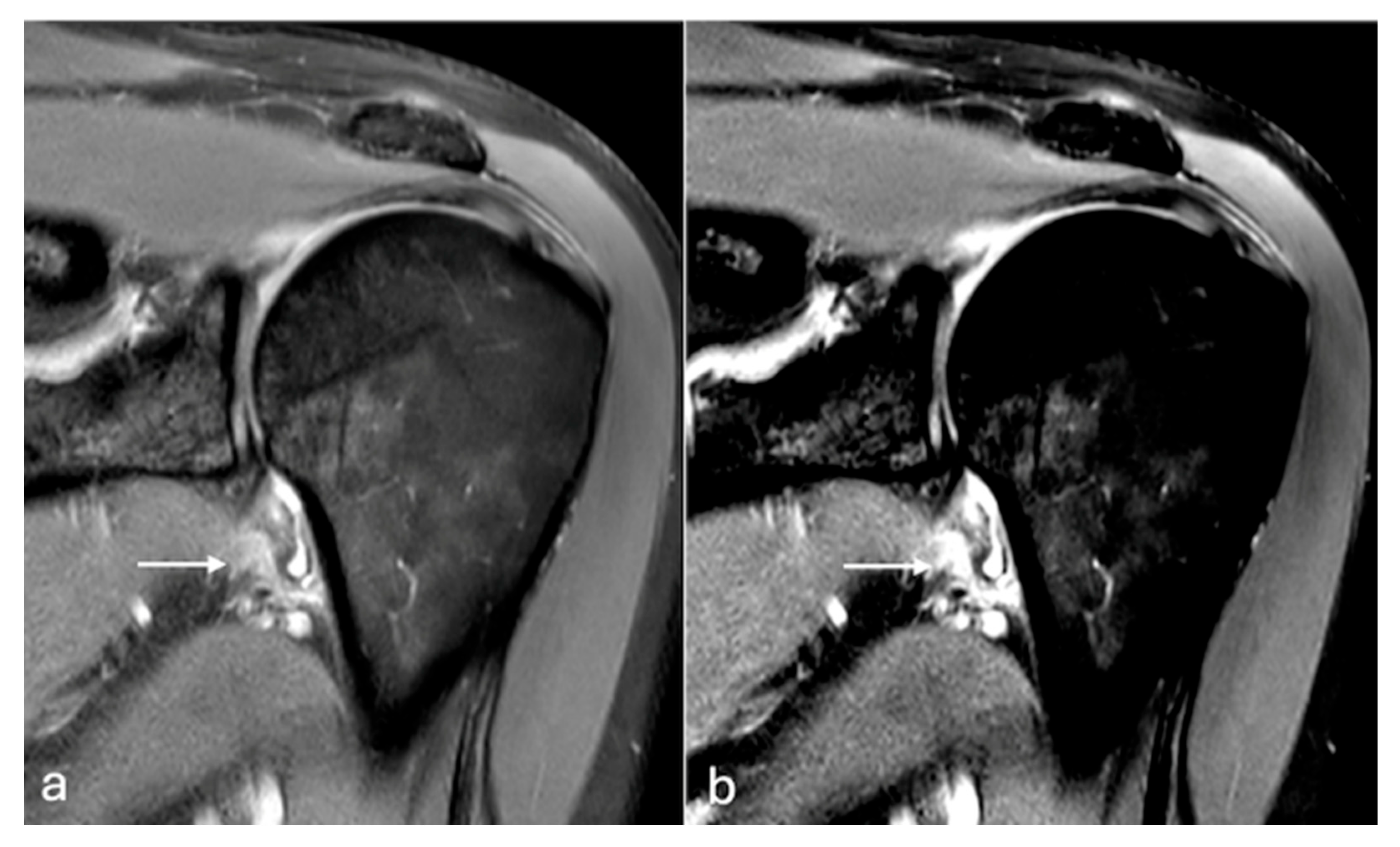 Labmed 02 00011 g002