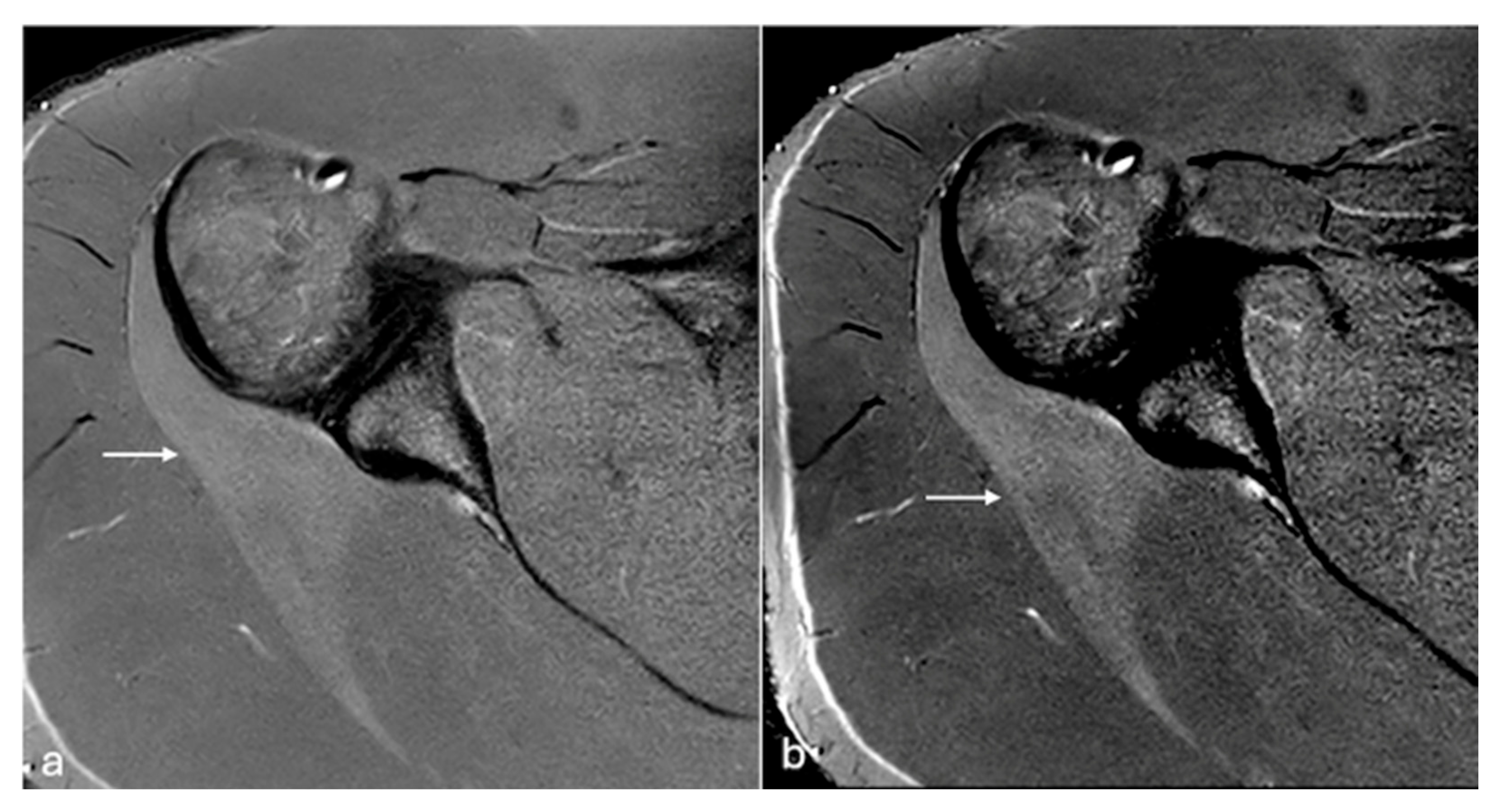 Labmed 02 00011 g004