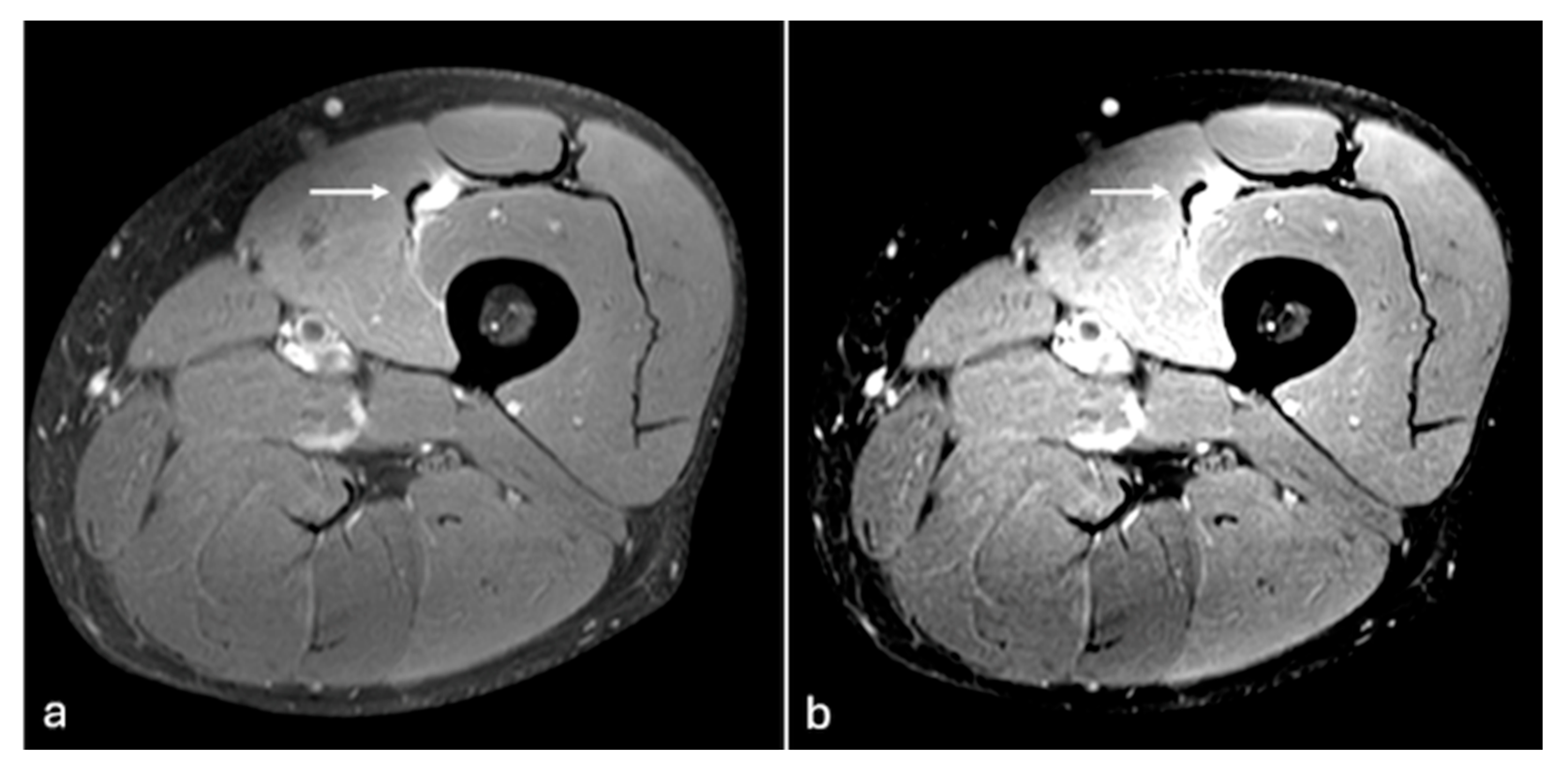 Labmed 02 00011 g005