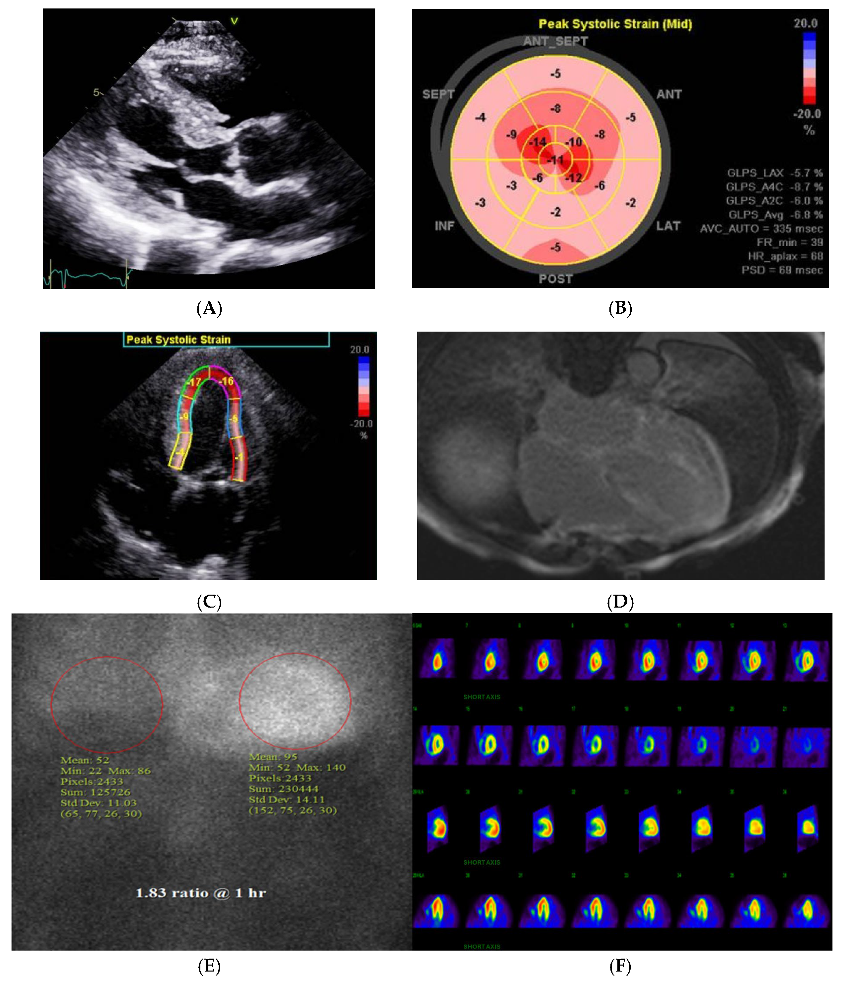 Labmed 02 00013 g002
