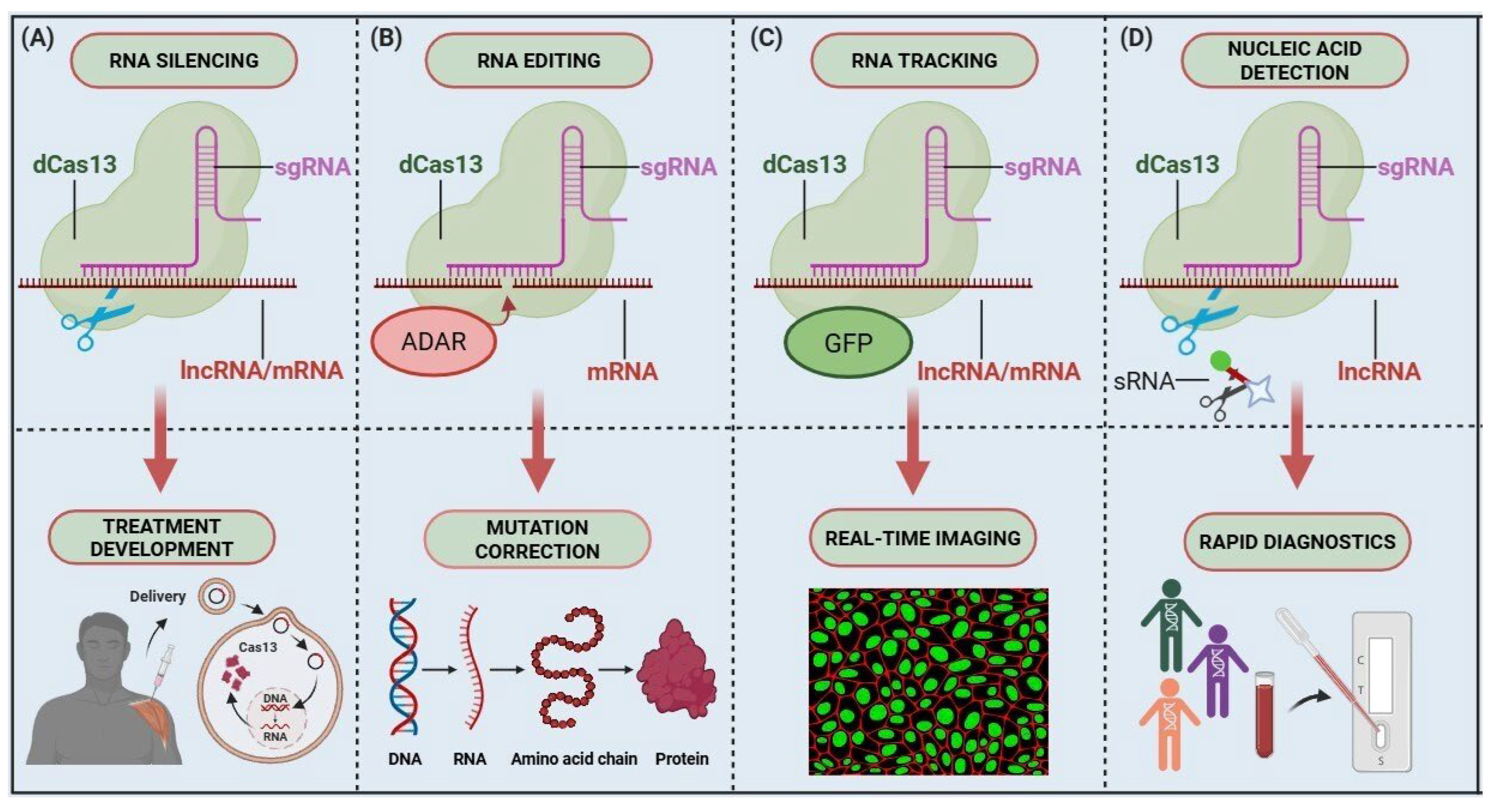 Labmed 02 00017 g003