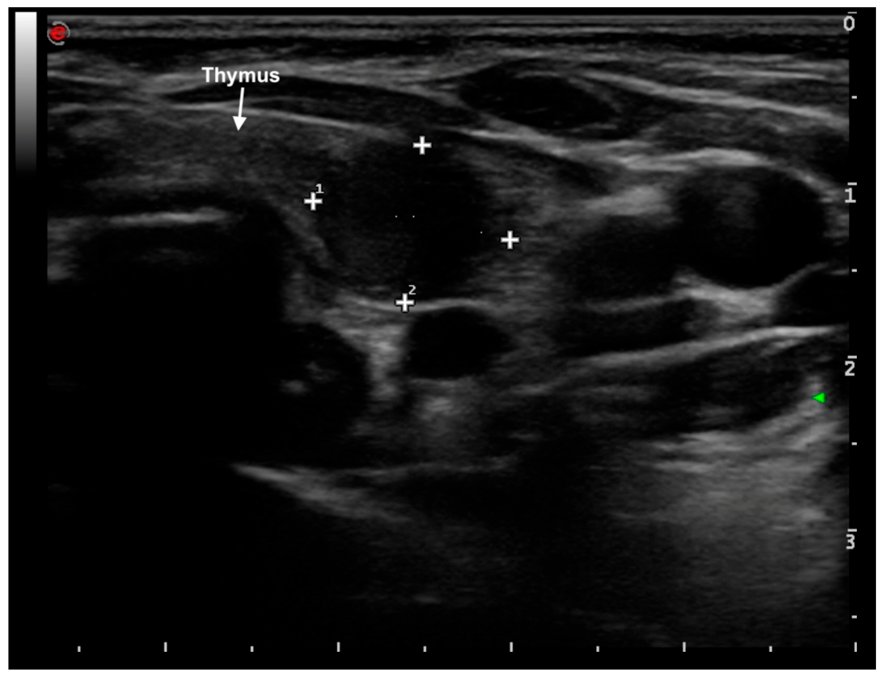 Labmed 02 00024 g001
