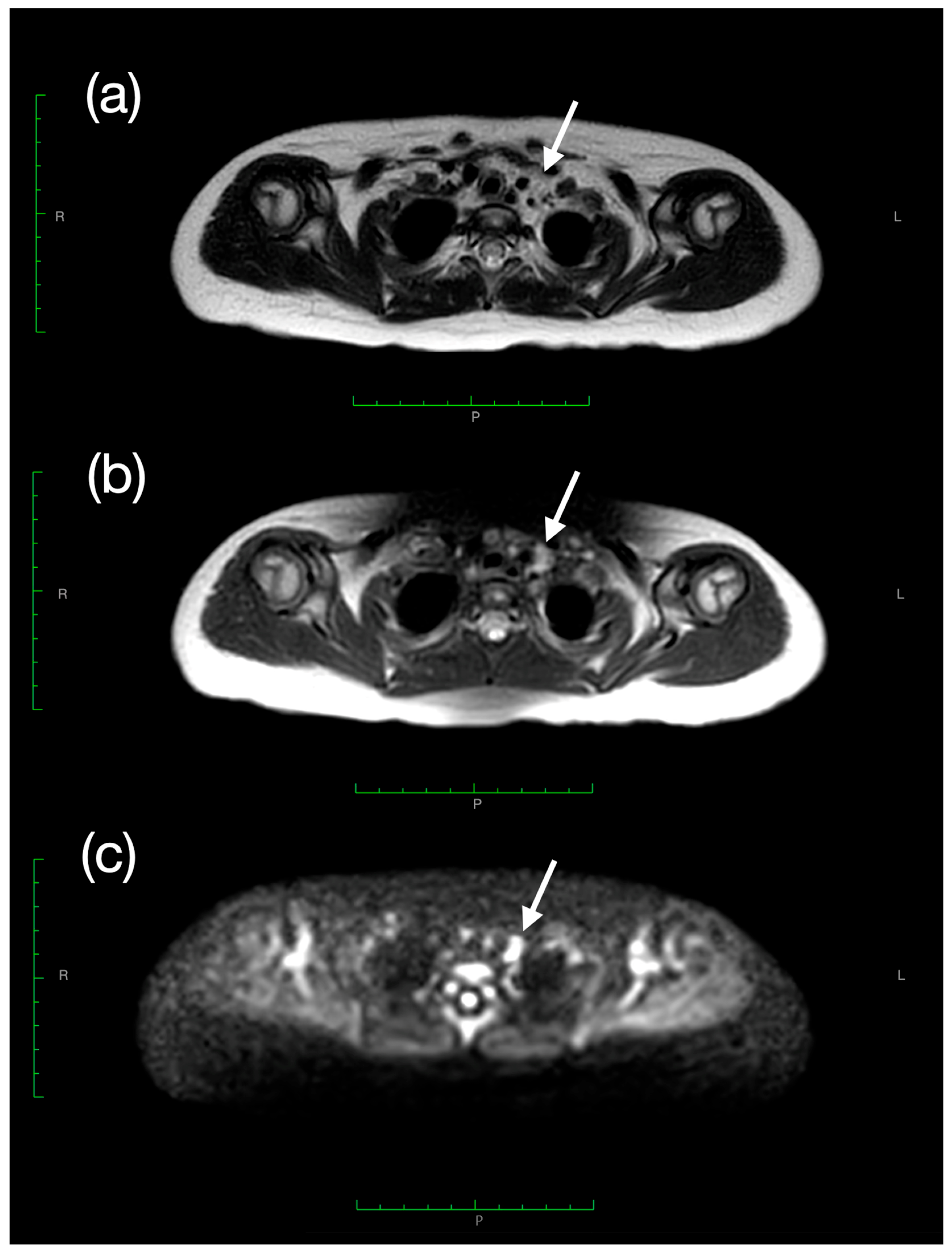 Labmed 02 00024 g002