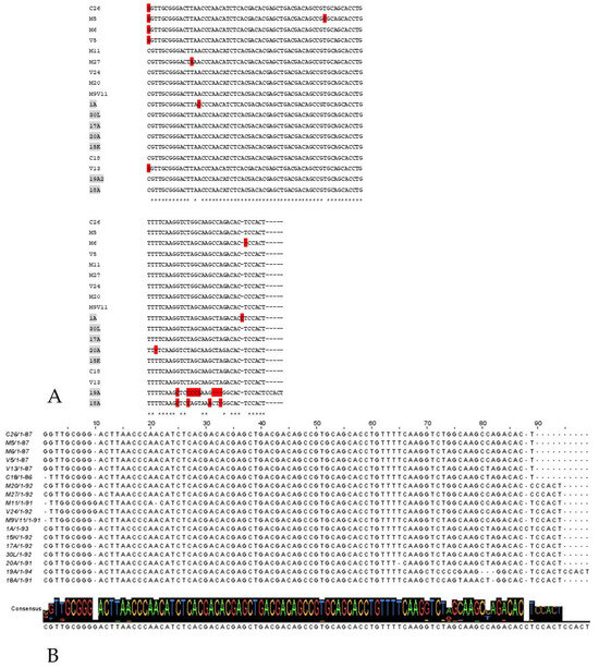 Pitfalls of UBT, SAT, and Nested PCR Reliability for Diagnosing