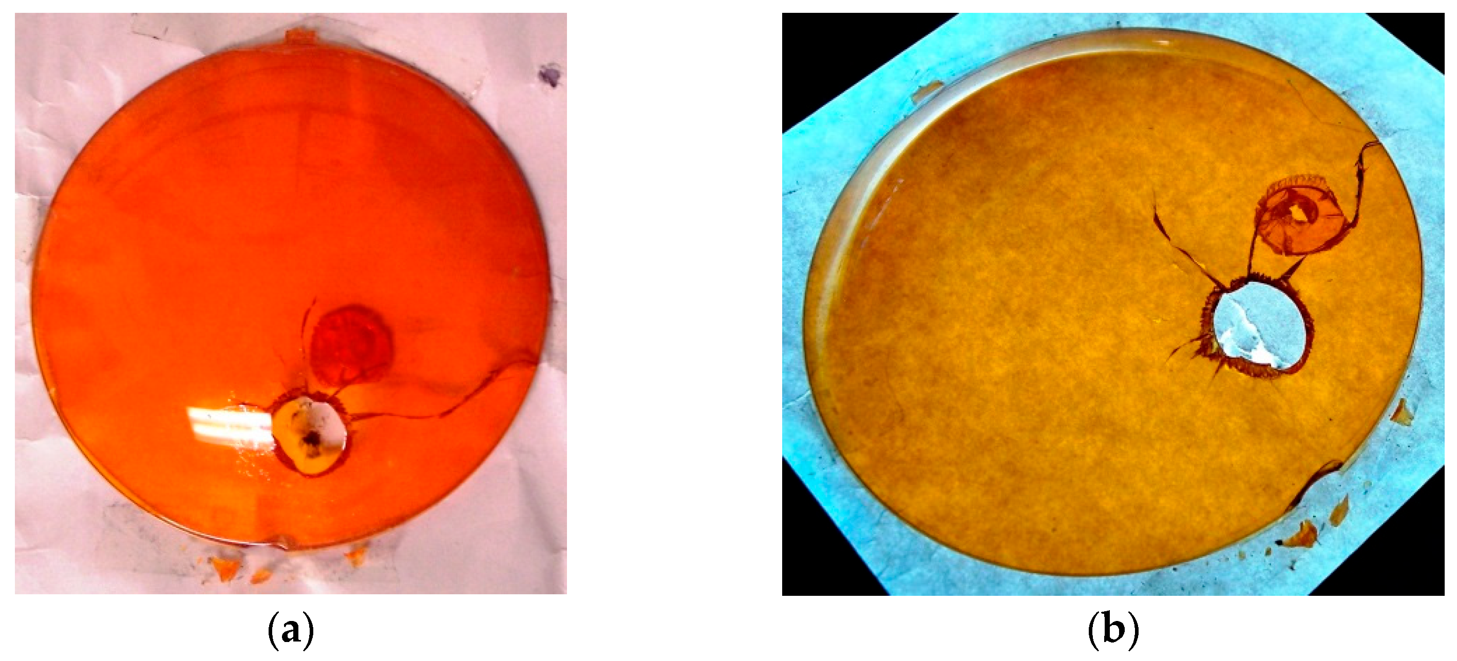 Laboratories 02 00016 g004