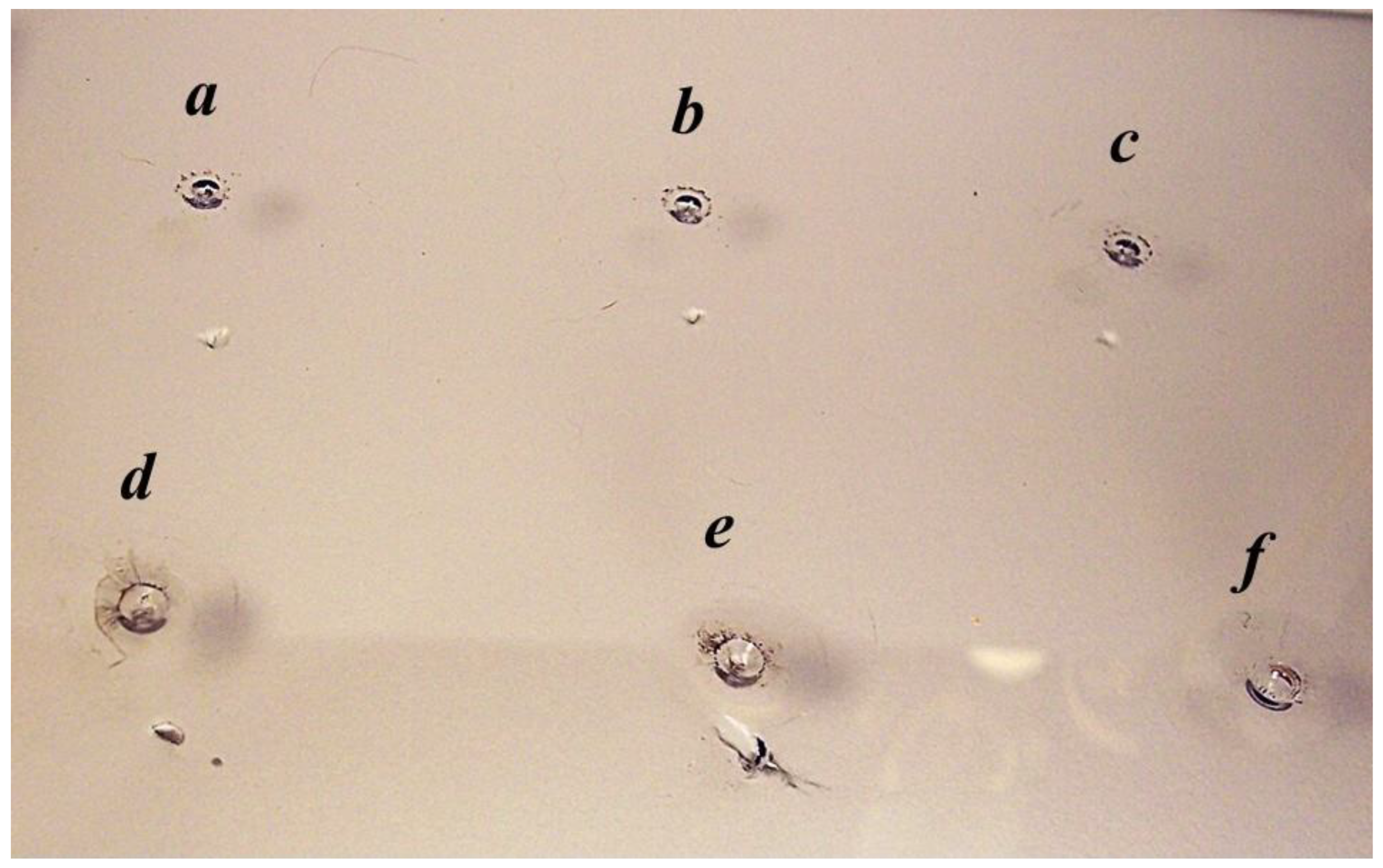 Laboratories 02 00016 g008