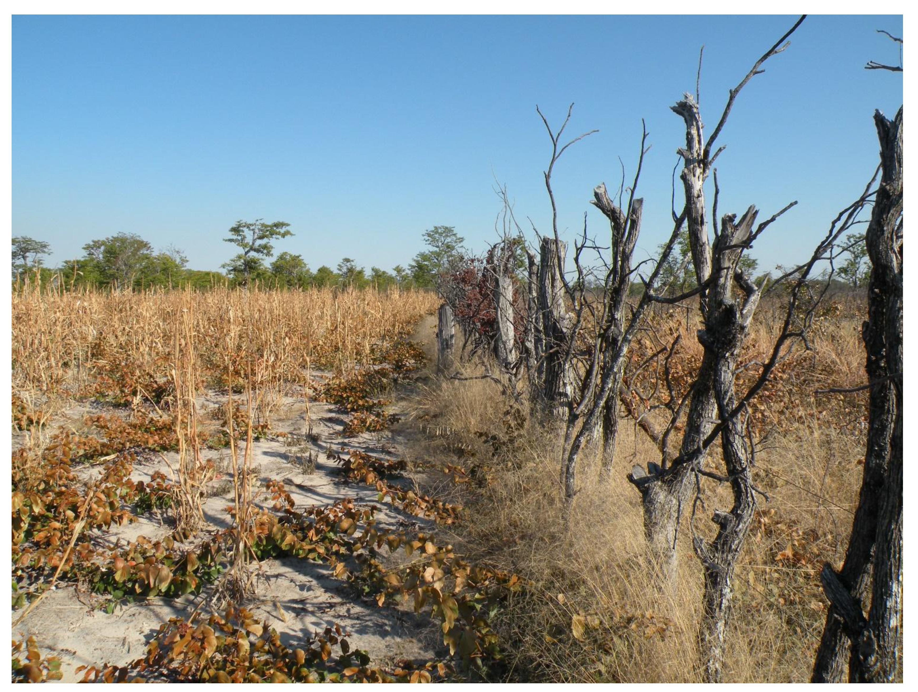 Land 02 00452 g002