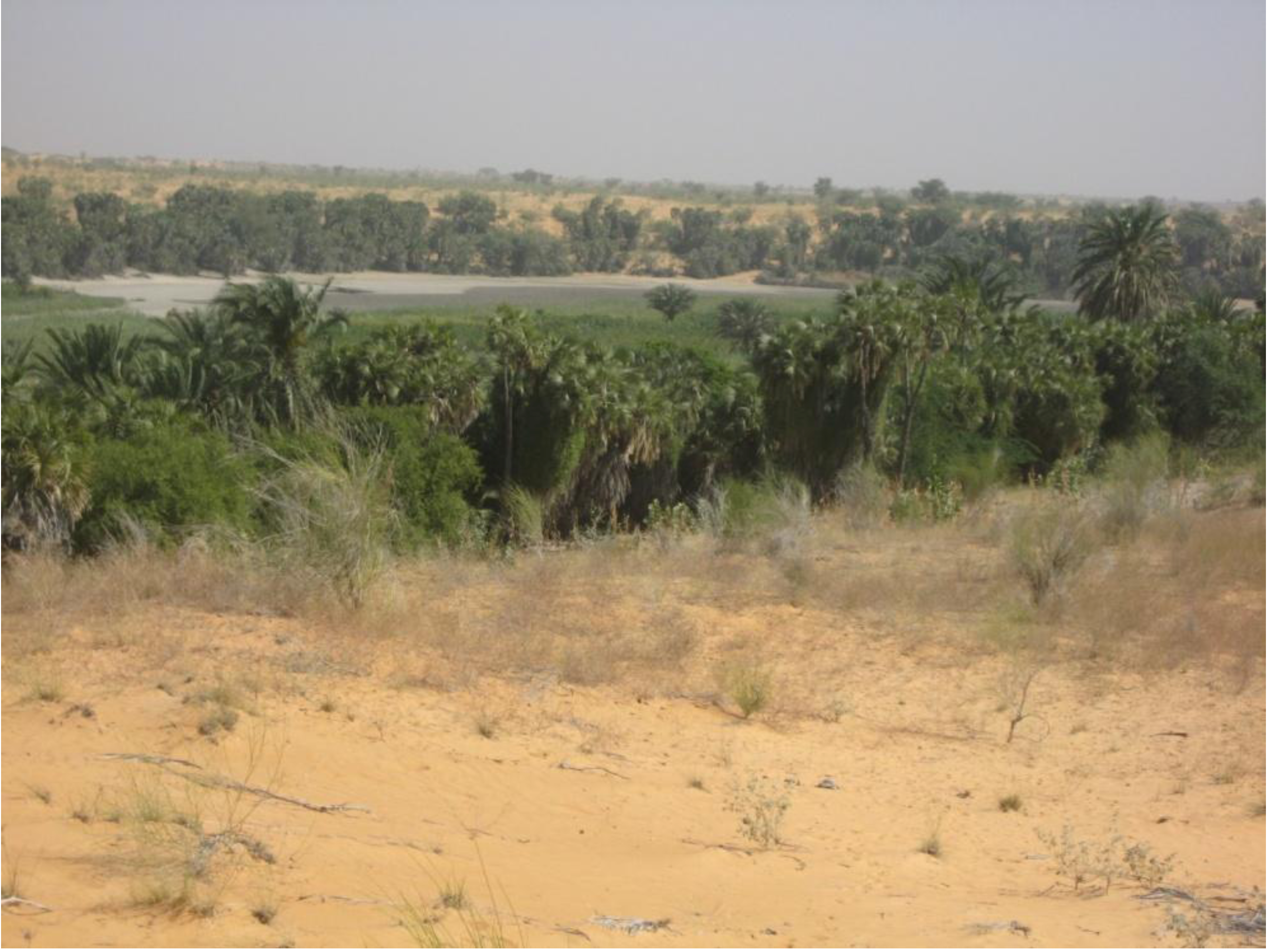 Land 02 00508 g004 1024