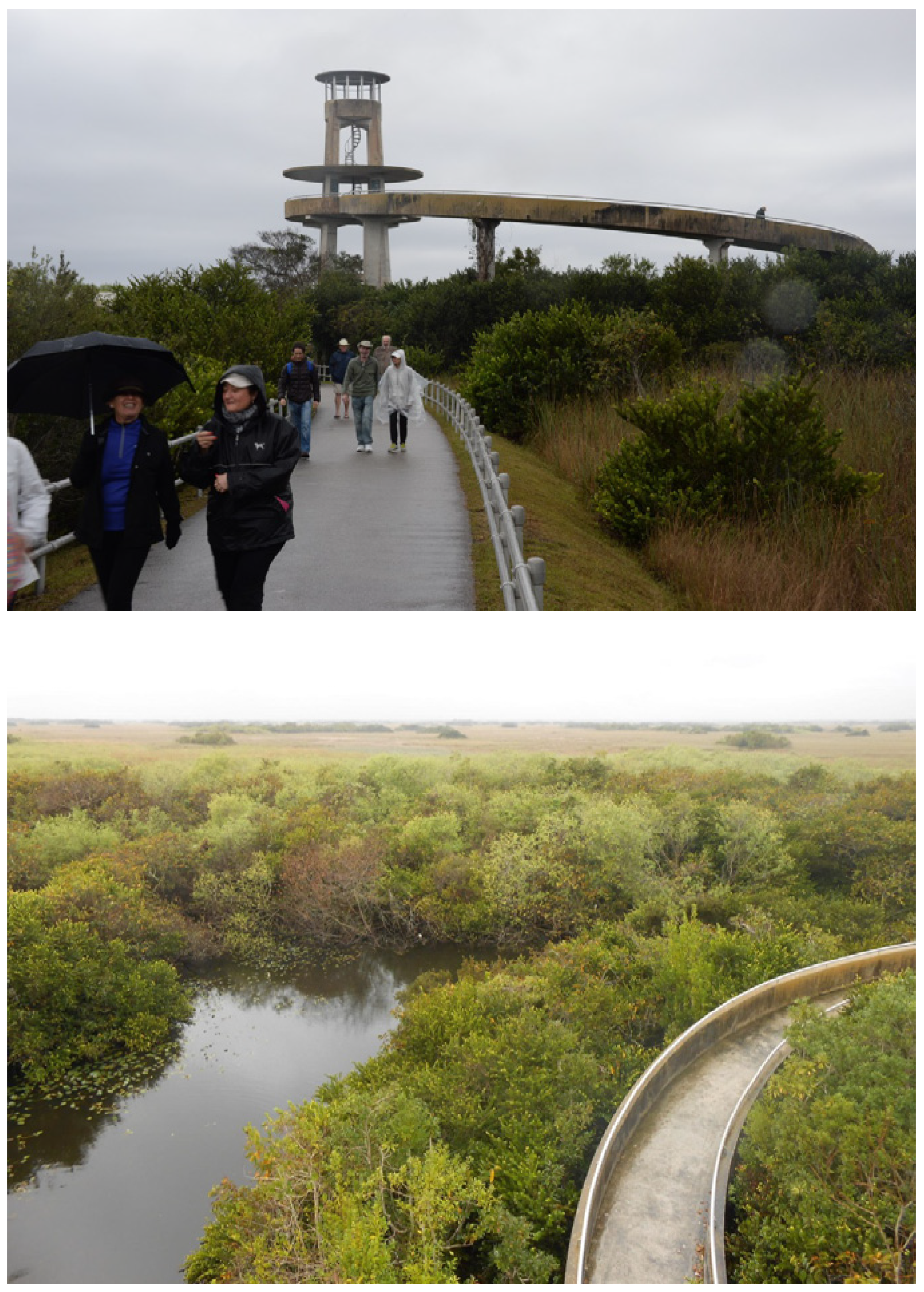 Land 03 00260 g001 1024