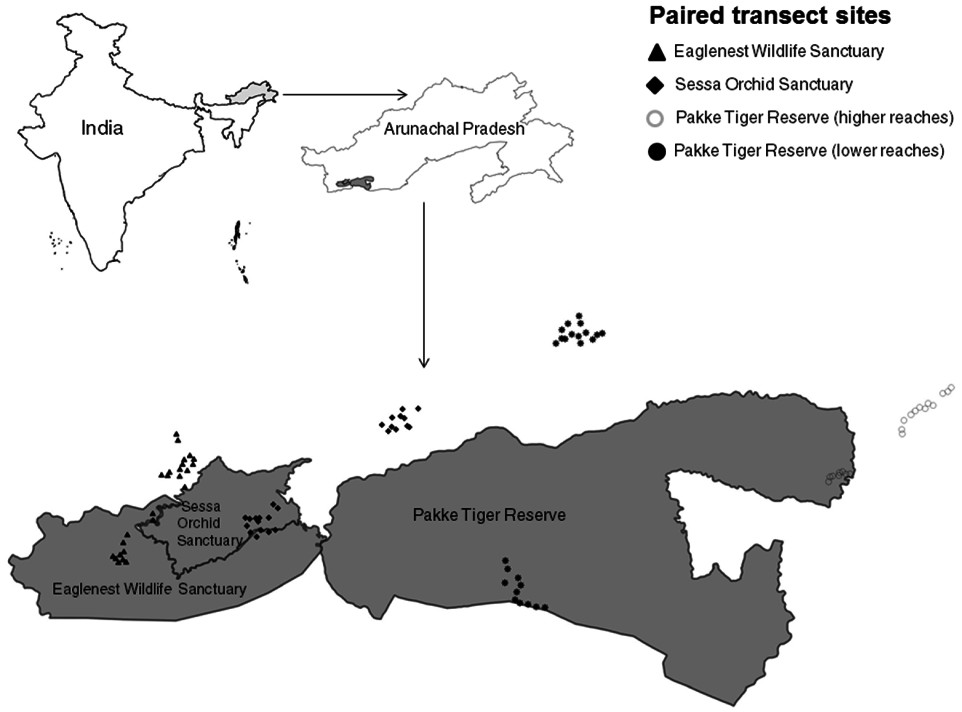 Land 05 00035 g001