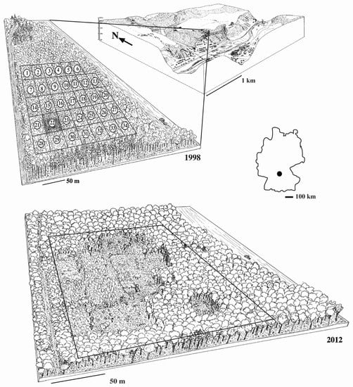 Land | Free Full-Text | Late Neolithic Agriculture in Temperate