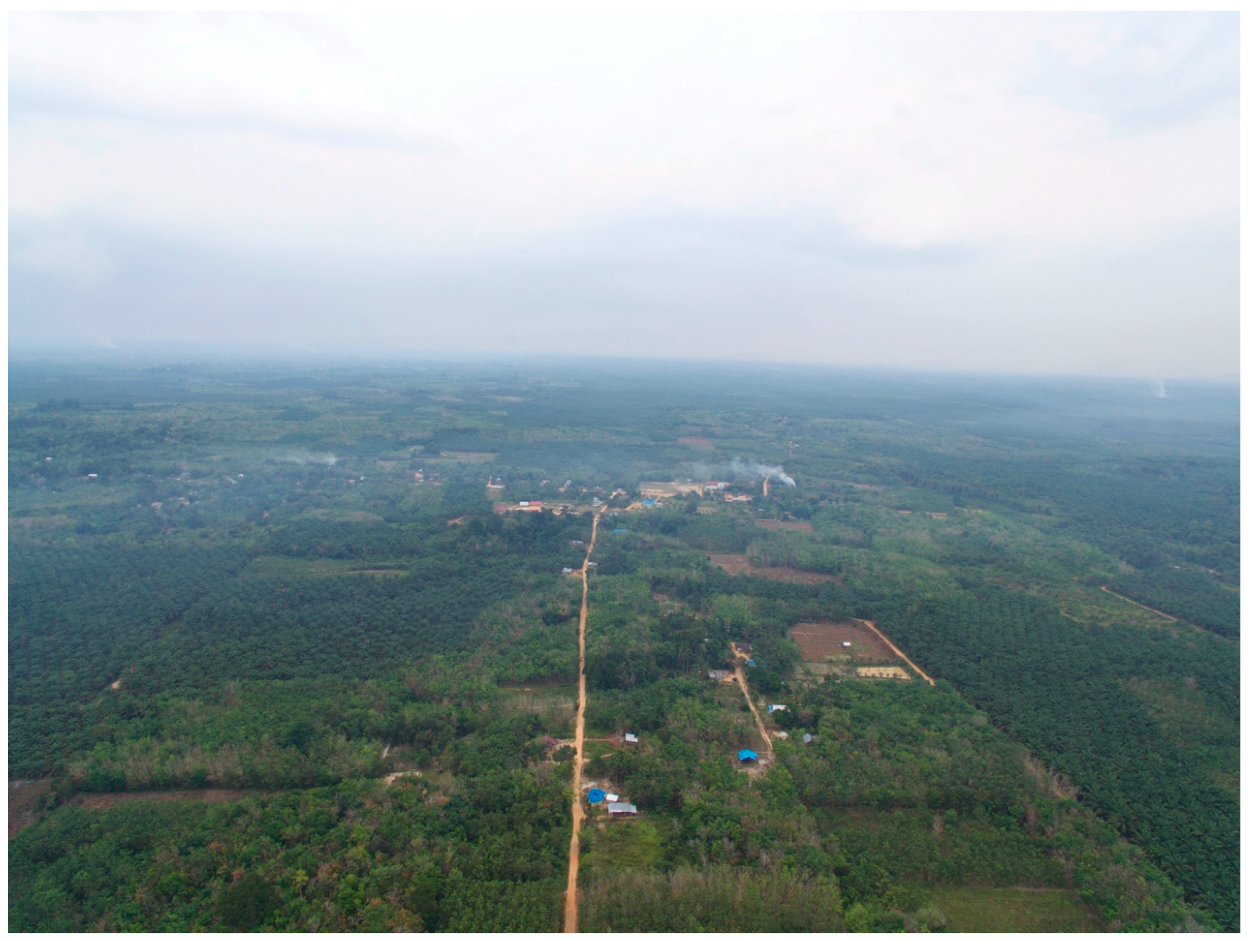 Land 06 00012 g001