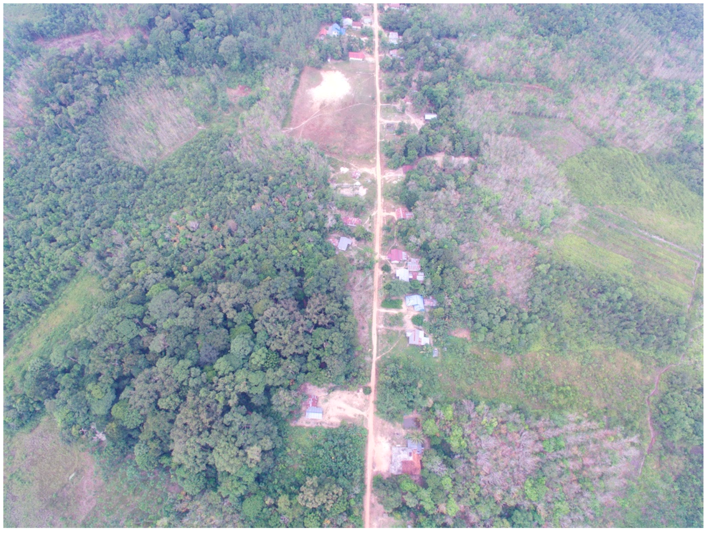 Land 06 00012 g003