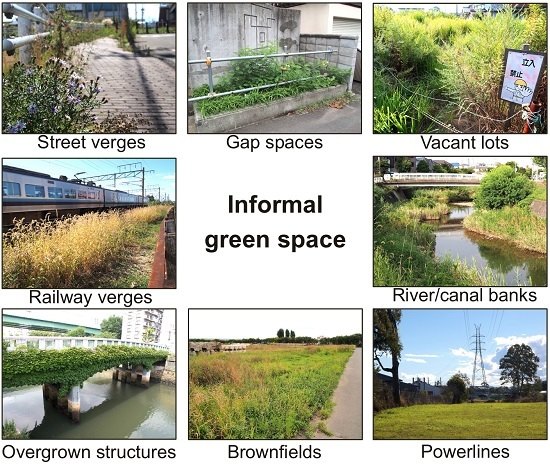 Land Free Full Text Informal Urban Green Space Residents