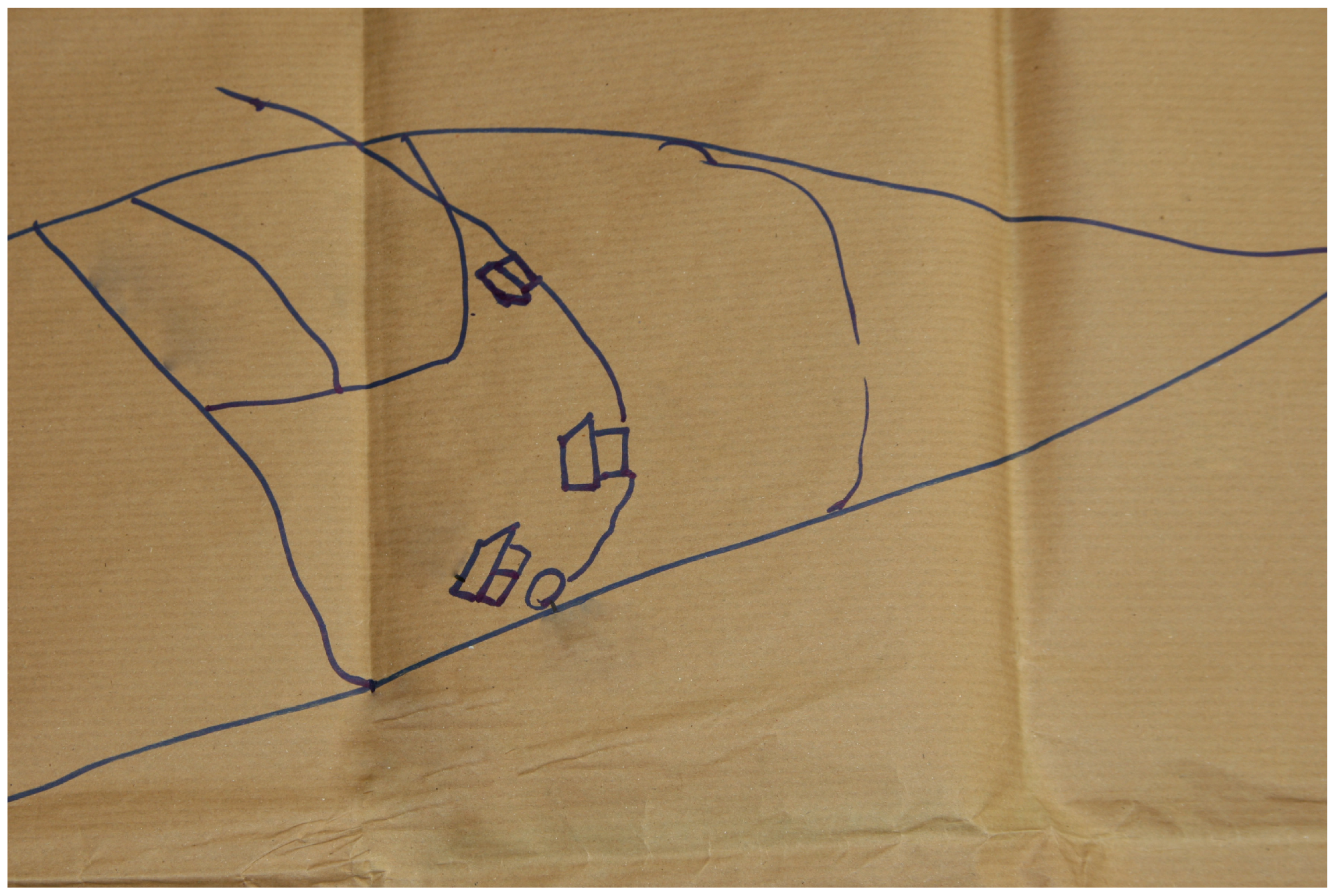 Land 06 00079 g002