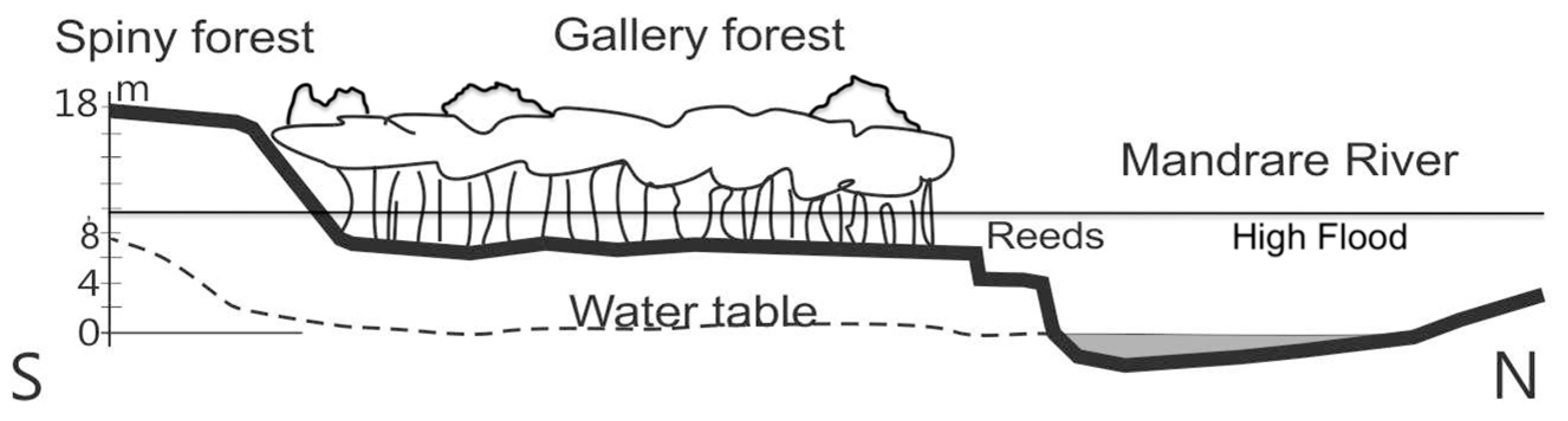 Land 07 00008 g002