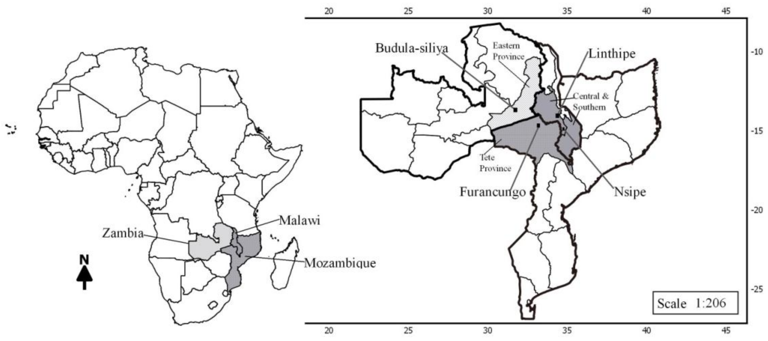 Land 07 00049 g001