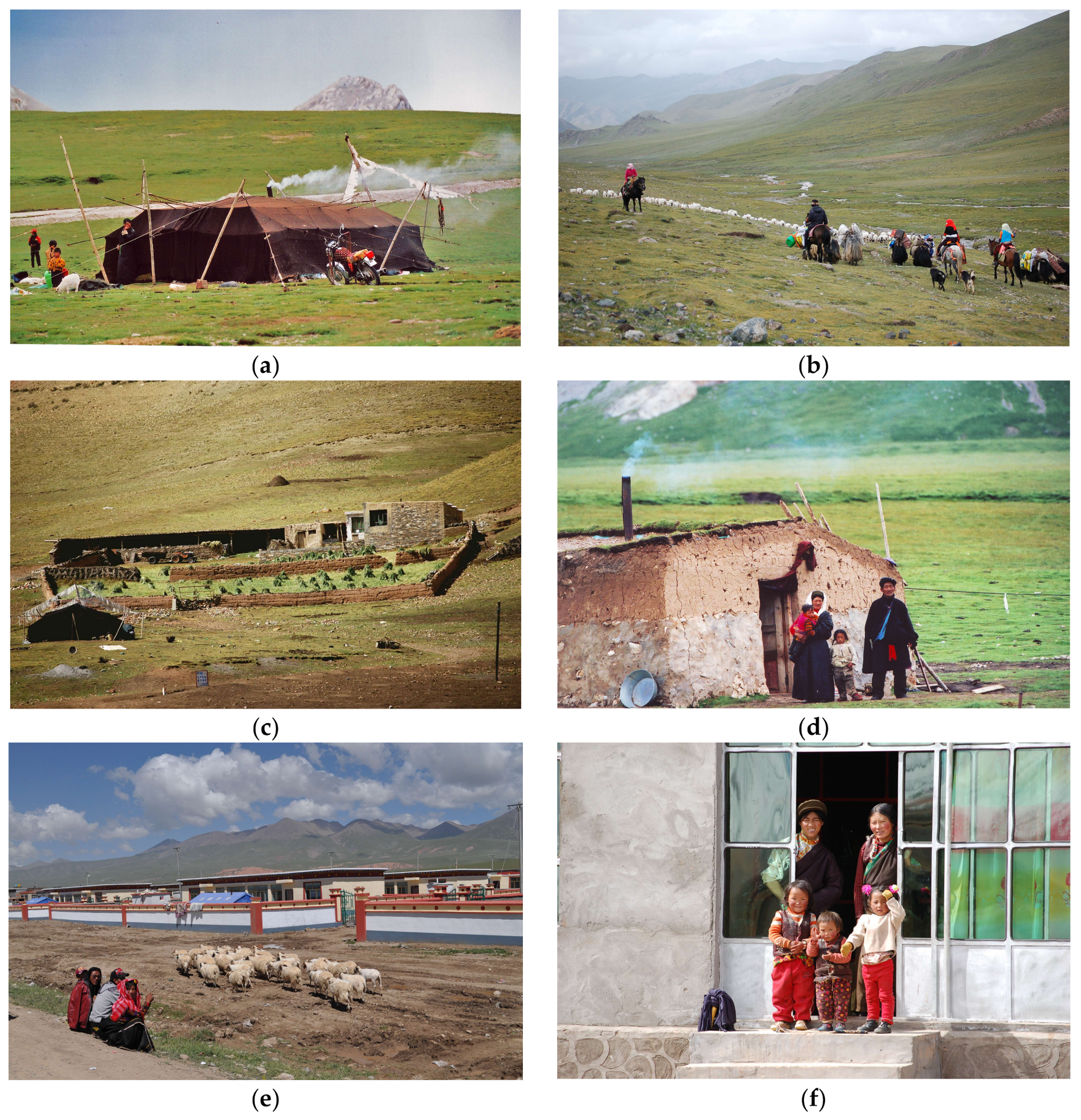 Land 07 00052 g005