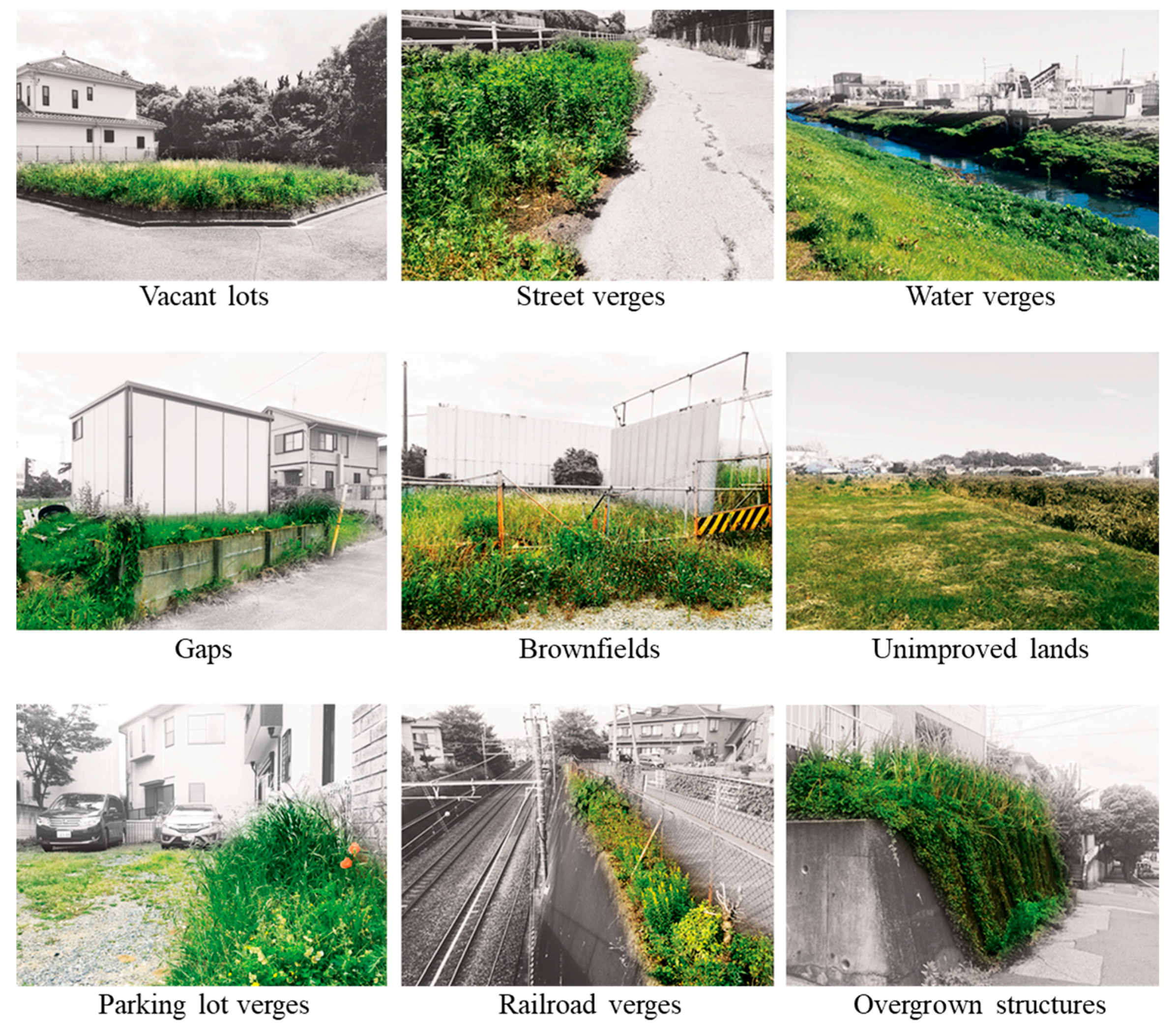 Land 07 00102 g003 Land 07 00102 g003