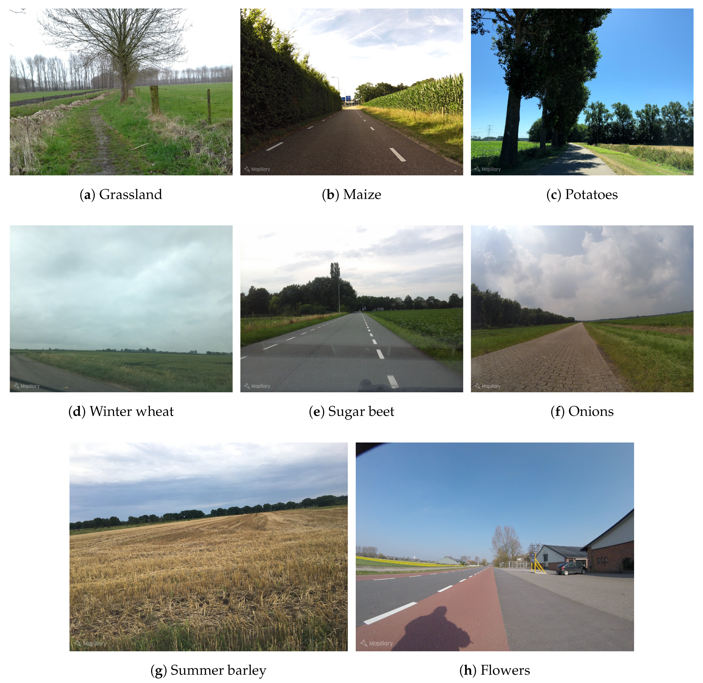 Land 07 00127 g013 Land 07 00127 g013