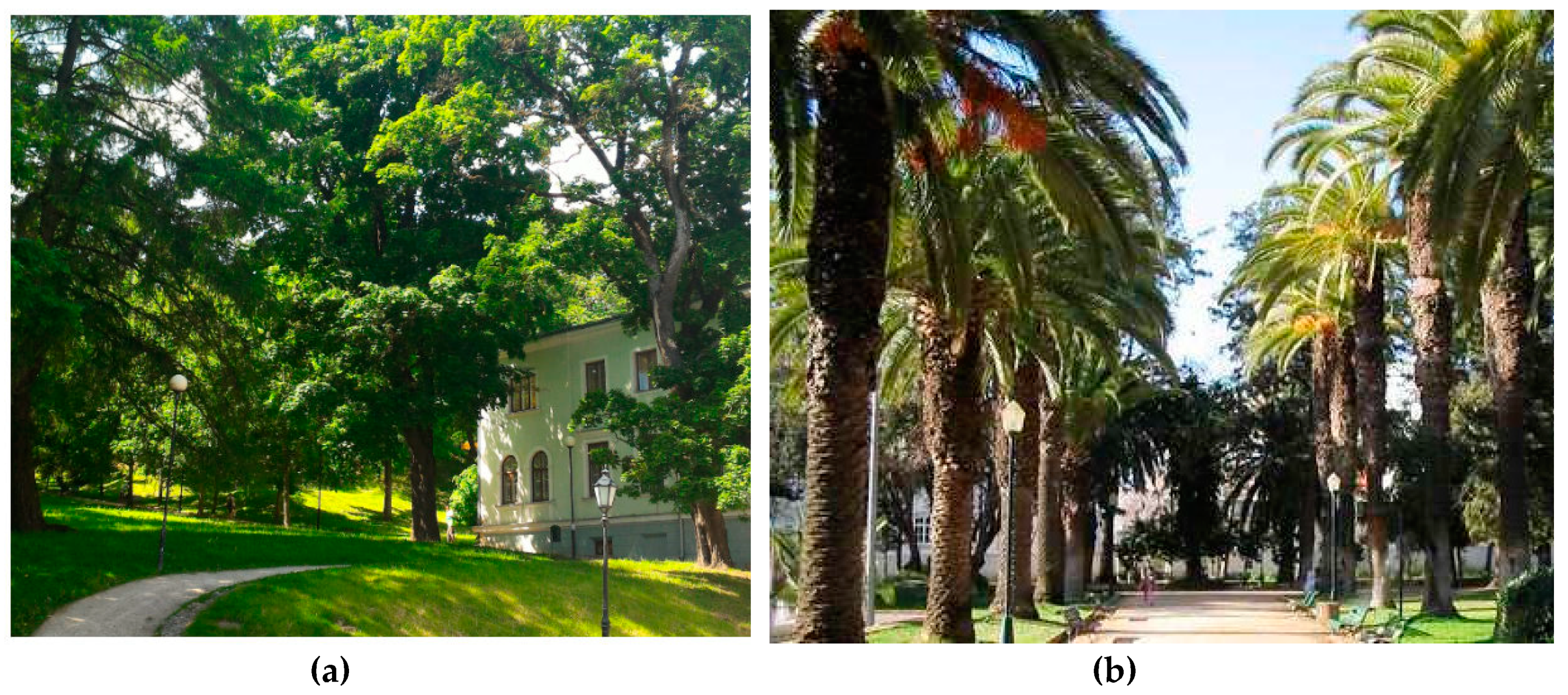 Land 07 00134 g003 Land 07 00134 g003