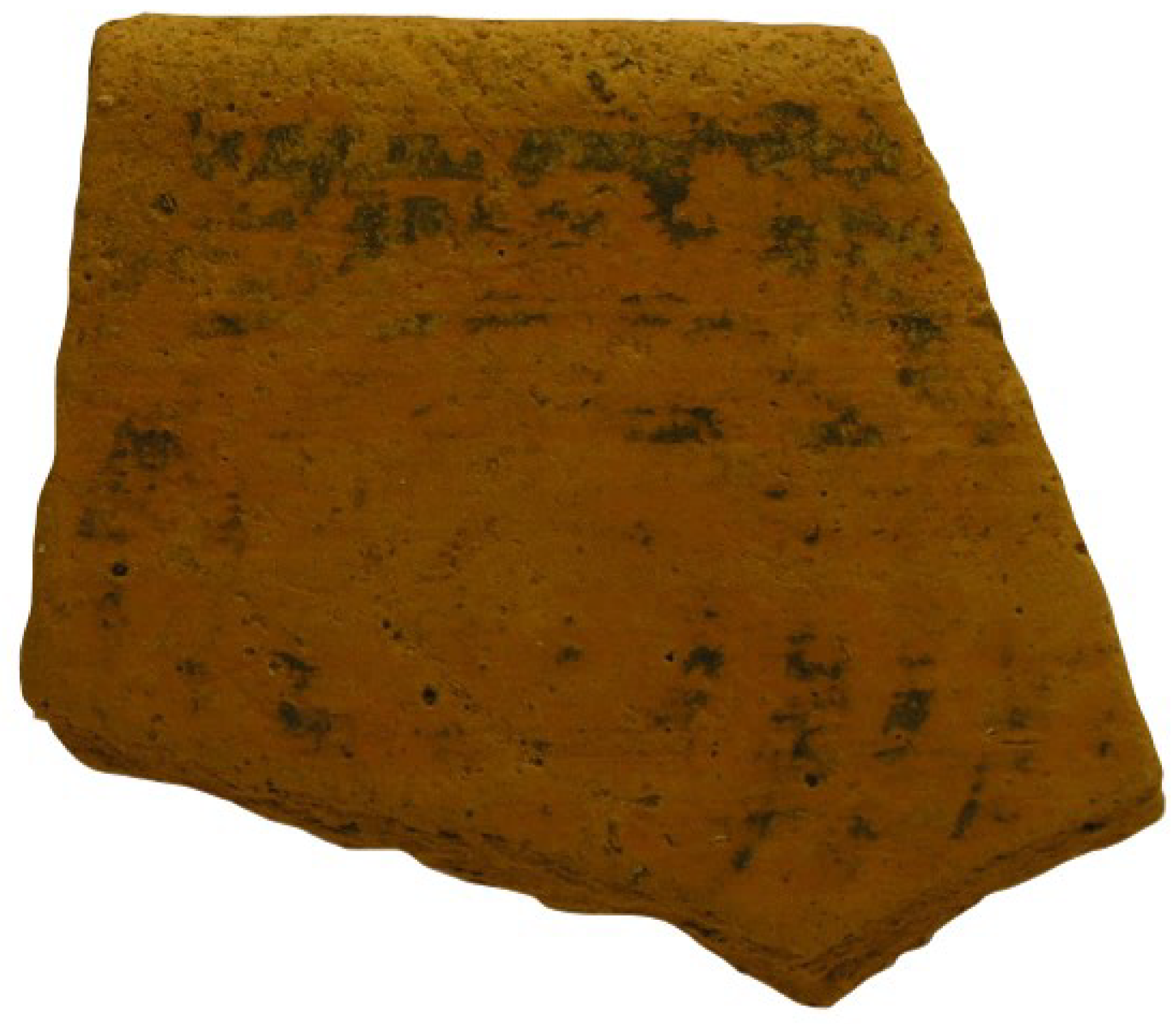 Land 07 00139 g018 550