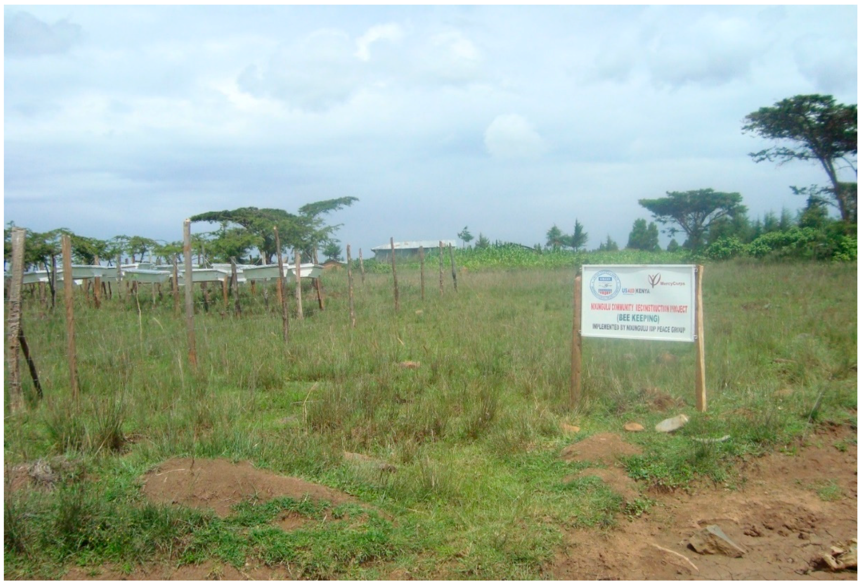 Land 07 00140 g003 Land 07 00140 g003