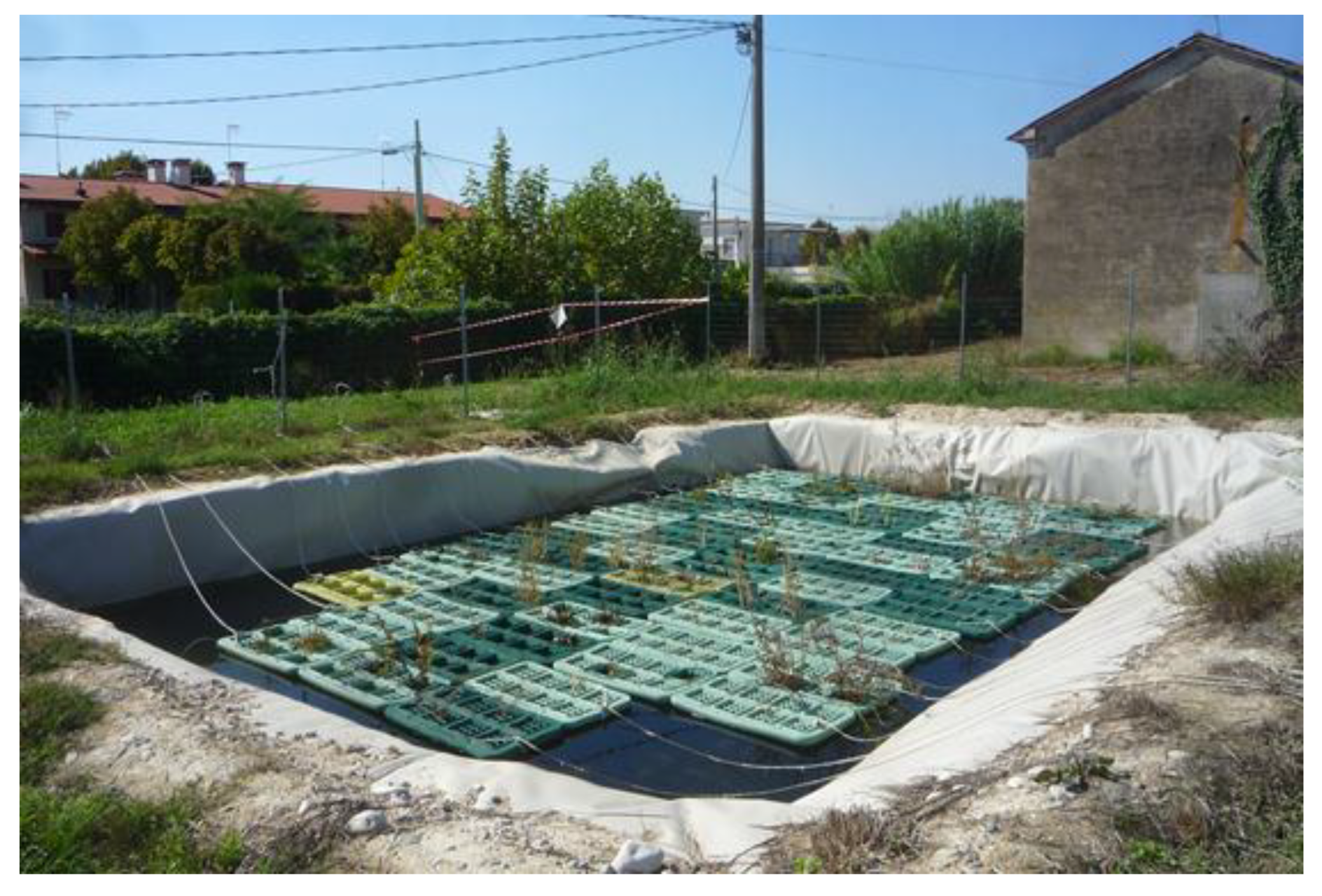 Land  Free Full-Text  Assessing Stormwater Nutrient and Heavy Metal Plant Uptake in an 